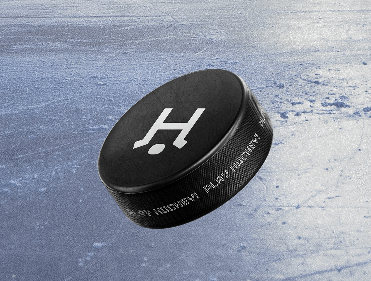 Brand identity for hockey school — Изображение №8 — Брендинг на Dprofile