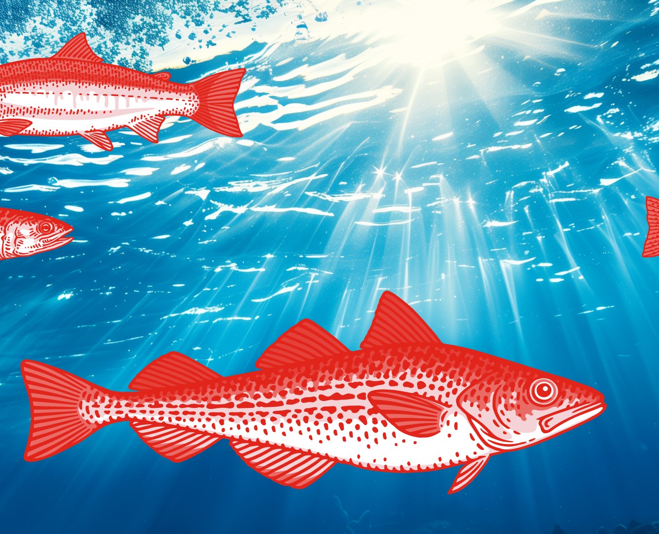WISH FISH | Fish and Sea food Branding and Packaging на Dprofile