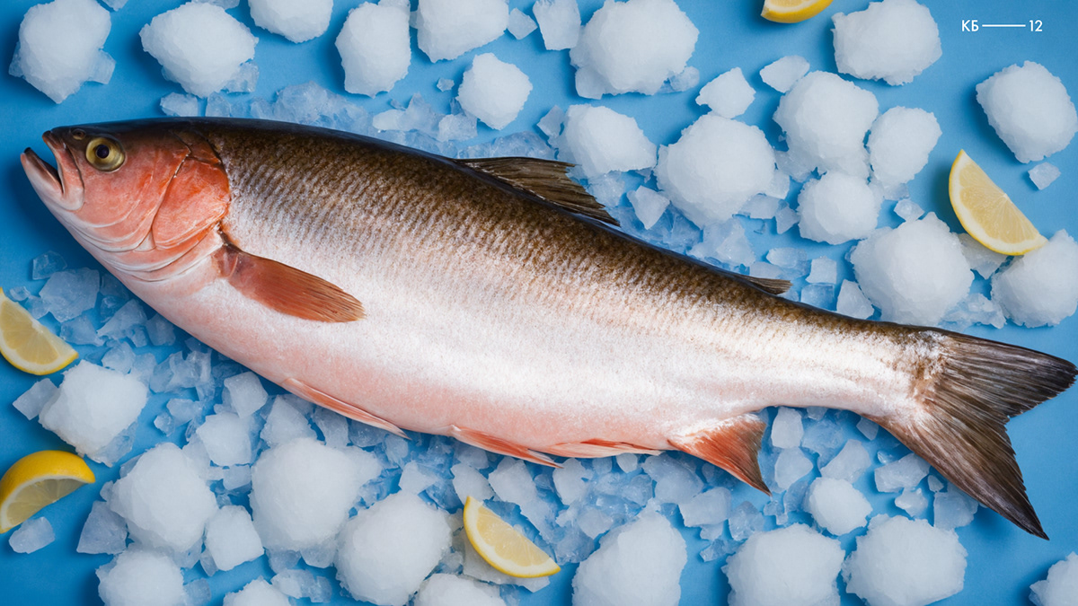 WISH FISH | Fish and Sea food Branding and Packaging — Изображение №15 — Брендинг на Dprofile