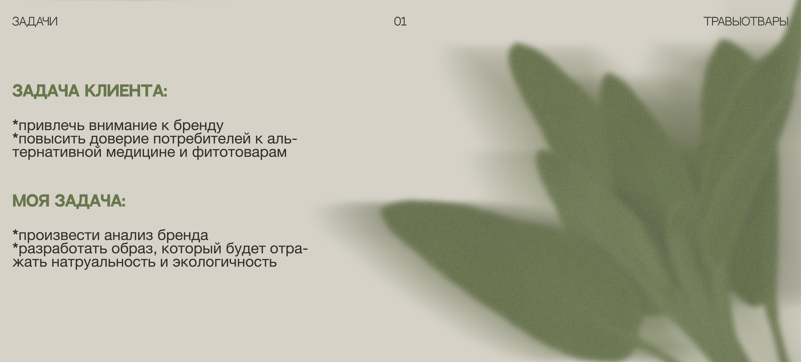 ТРАВЫОТВАРЫ — Изображение №2 — Брендинг на Dprofile