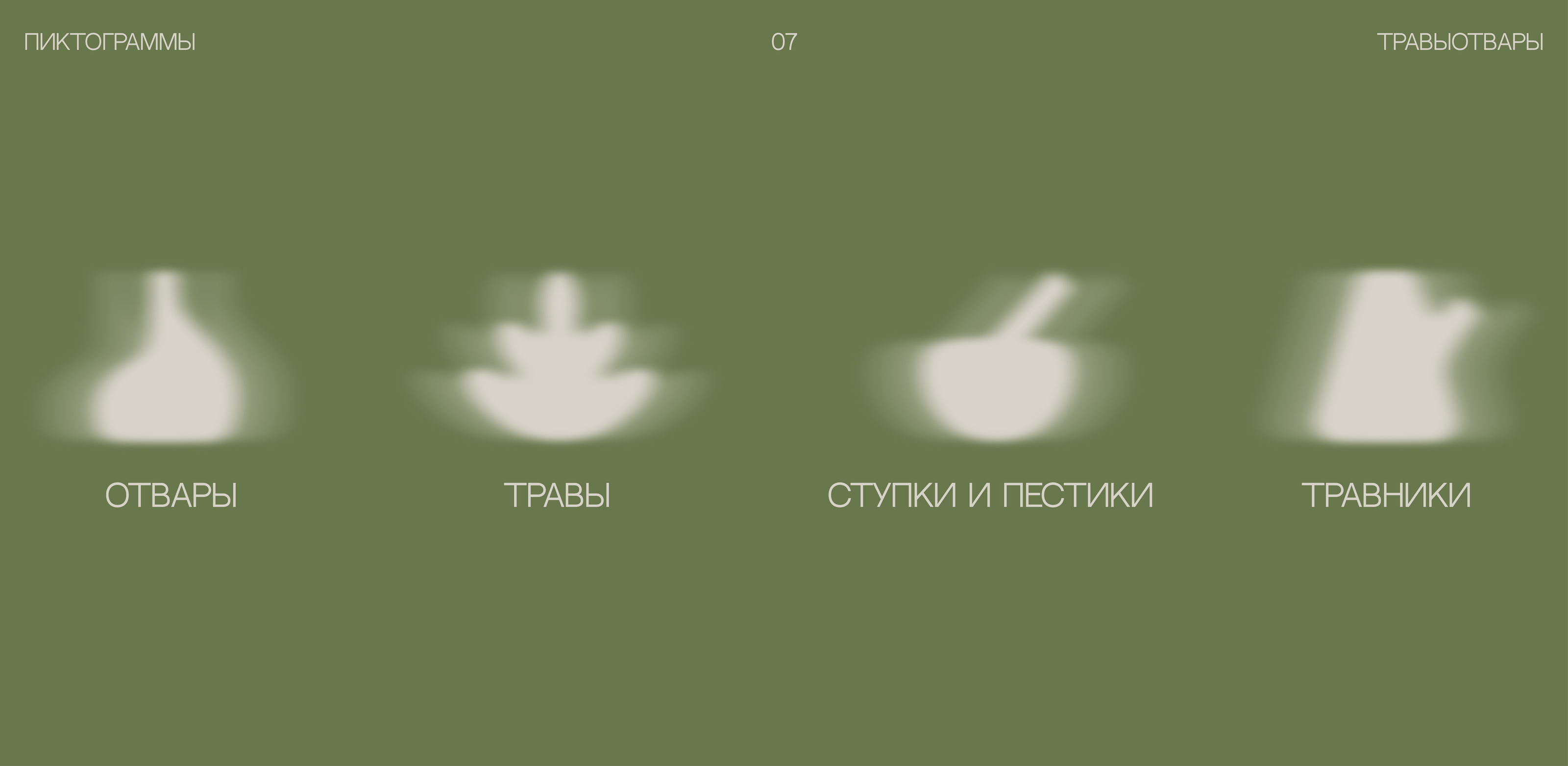ТРАВЫОТВАРЫ — Изображение №11 — Брендинг на Dprofile