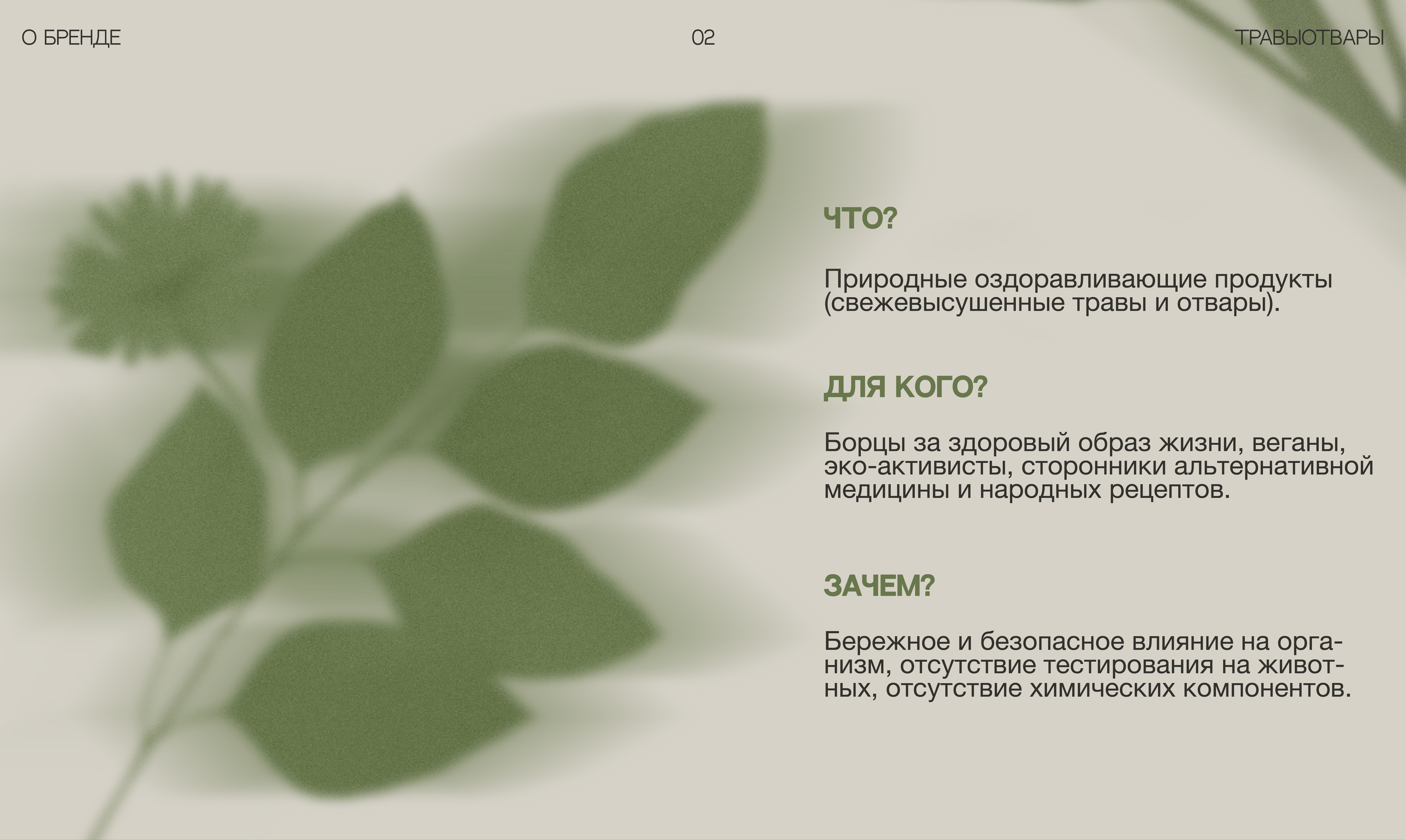 ТРАВЫОТВАРЫ — Изображение №3 — Брендинг на Dprofile