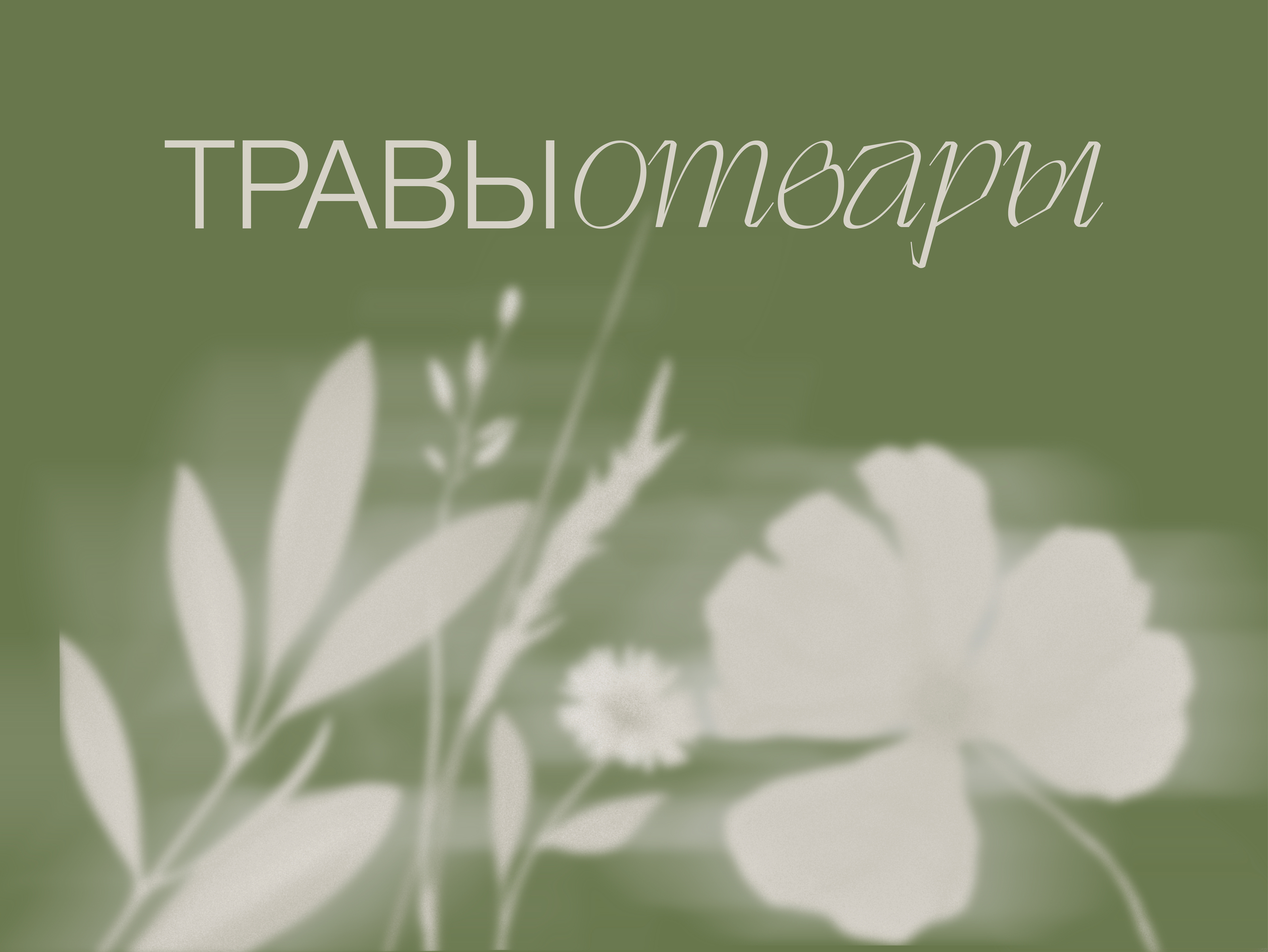 ТРАВЫОТВАРЫ — Изображение №1 — Брендинг на Dprofile