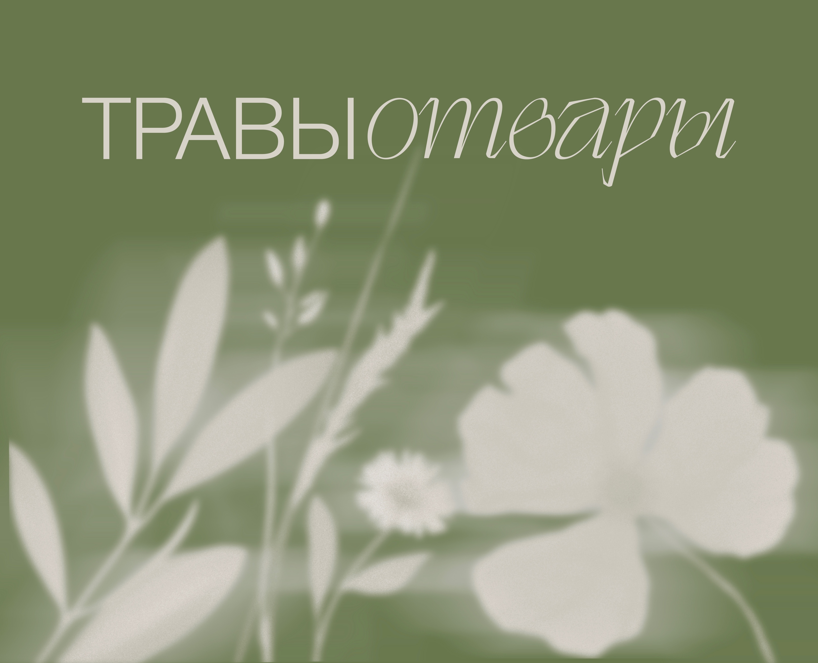 ТРАВЫОТВАРЫ — Брендинг на Dprofile