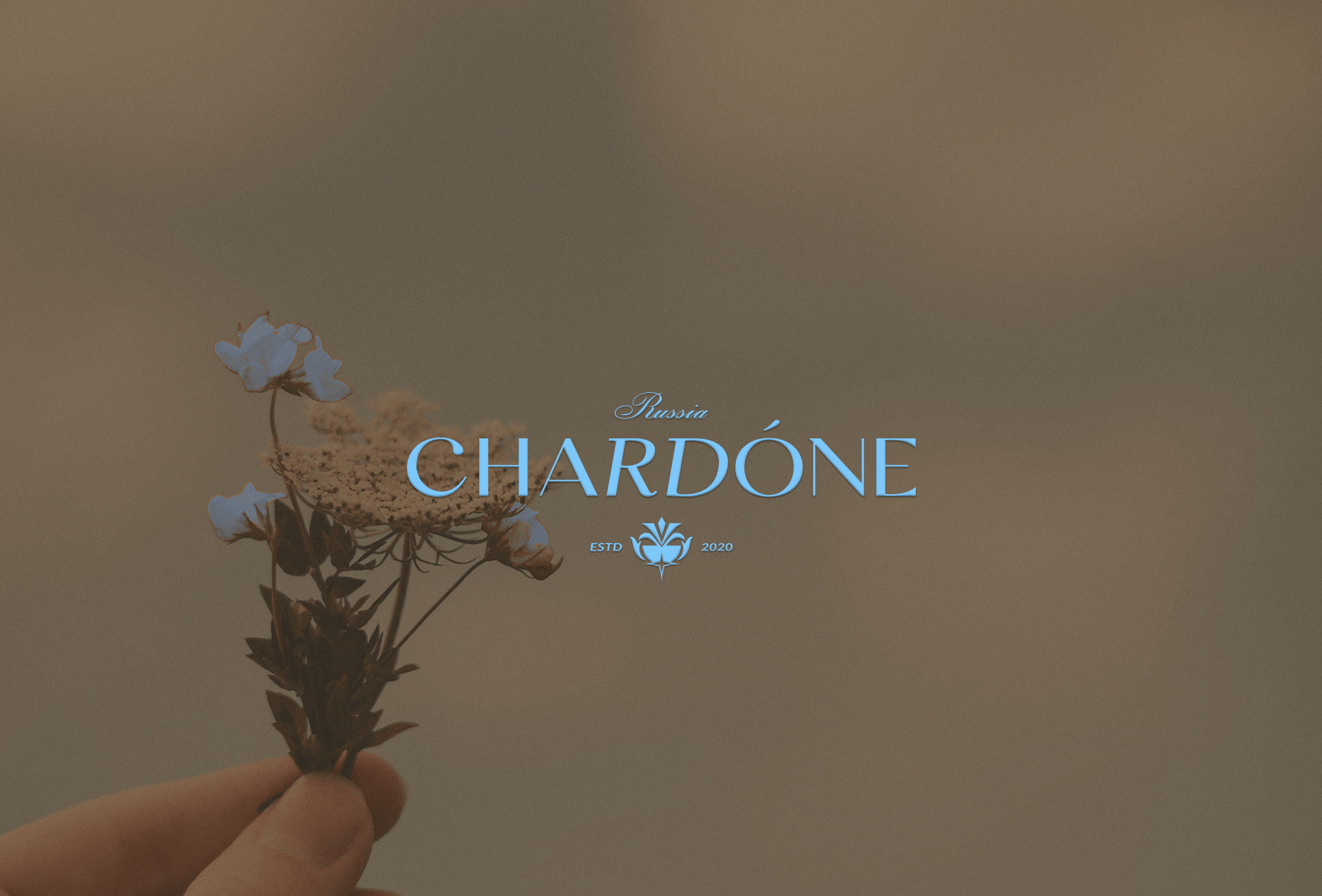 Логотип|Фирменный стиль|Айдентика|Аксессуары для дома — Изображение №1 — Брендинг на Dprofile