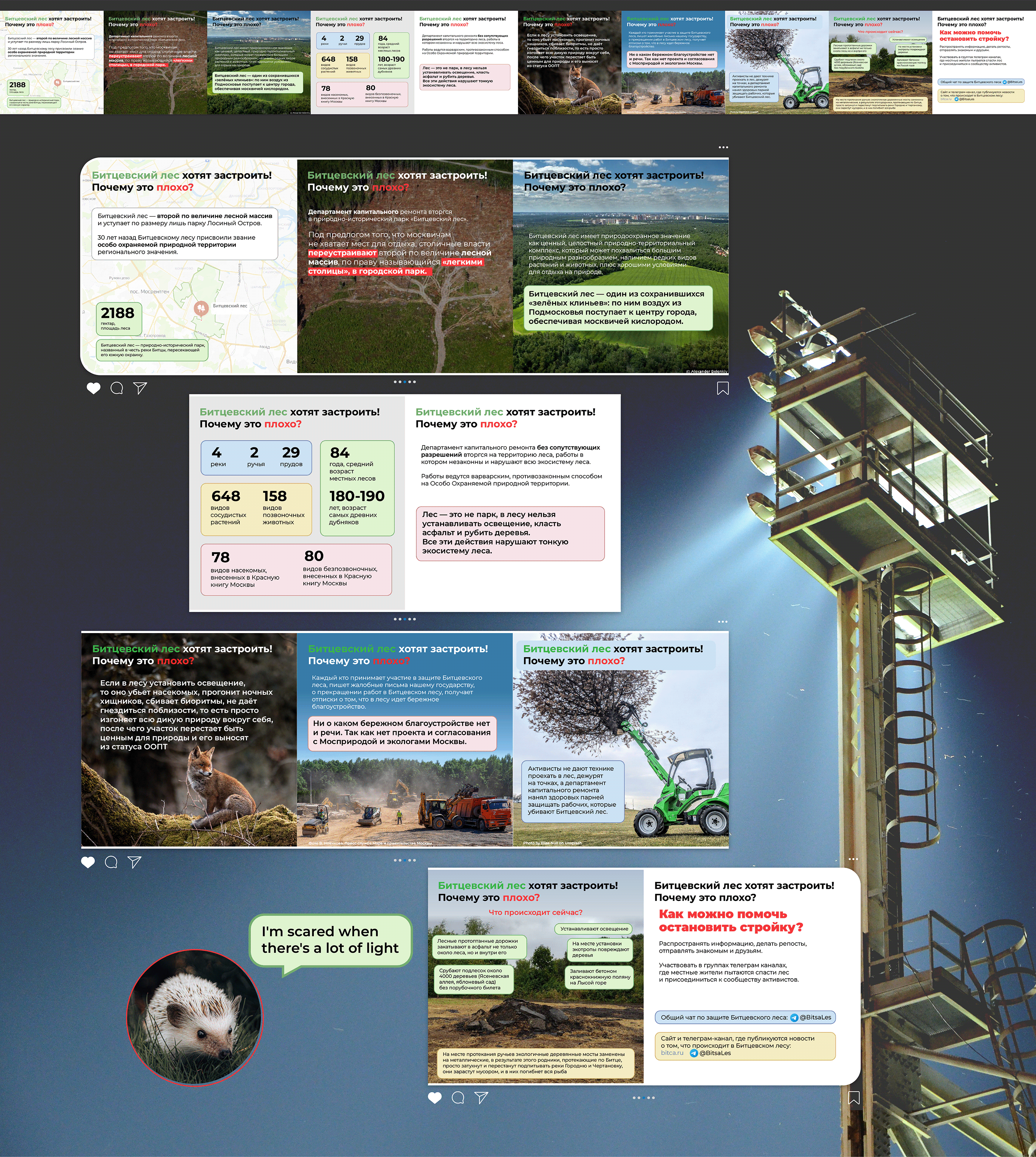 Social media posts ecoactivism — Изображение №3 — Графика на Dprofile