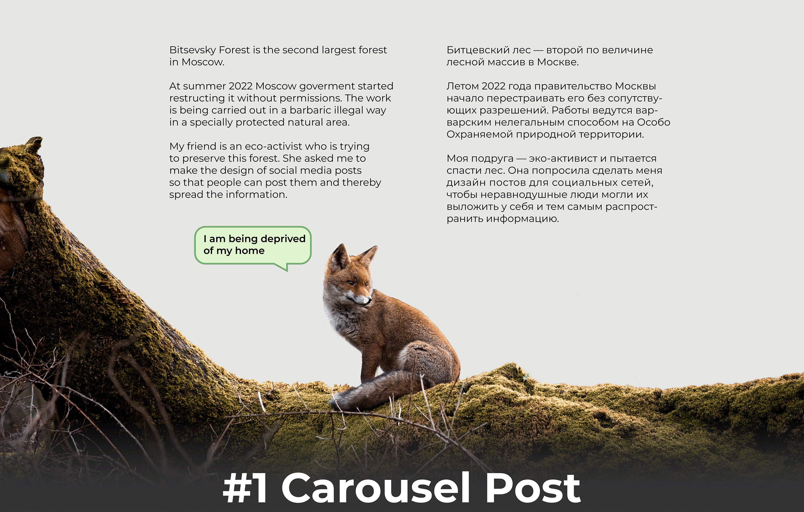 Social media posts ecoactivism — Изображение №2 — Графика на Dprofile