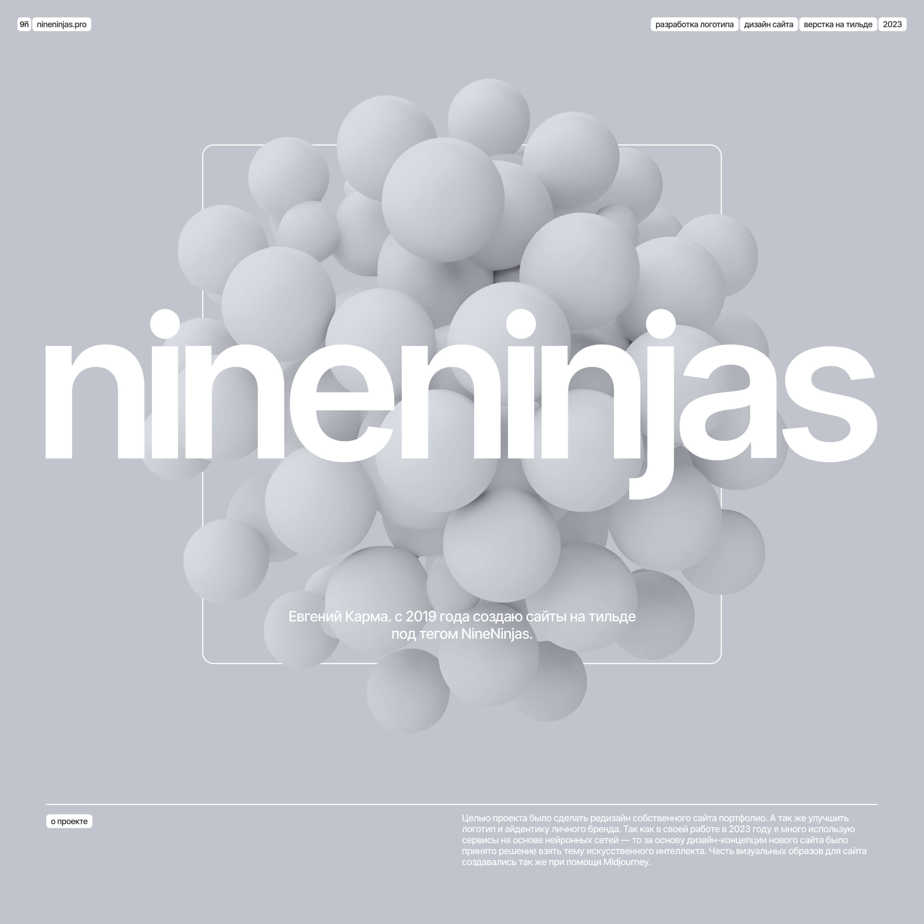 NineNinjas – Portfolio website — Изображение №1 — Интерфейсы на Dprofile