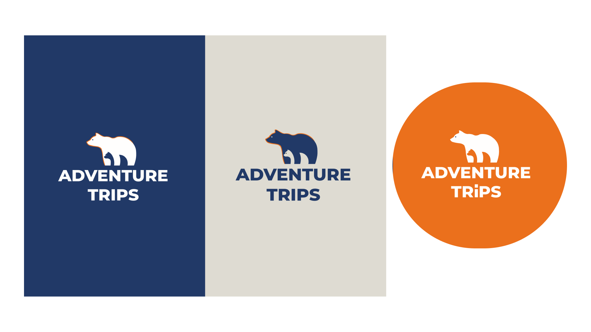 Создание логотипа для бренда туристической компании Adventura trips — Изображение №6 — Брендинг на Dprofile