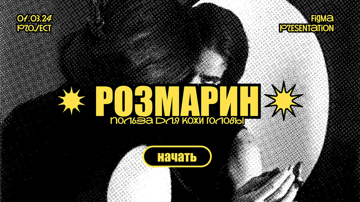 PRESENTATION DESIGN | Дизайн презентации. Розмарин. — Изображение №1 — Брендинг, Маркетинг на Dprofile