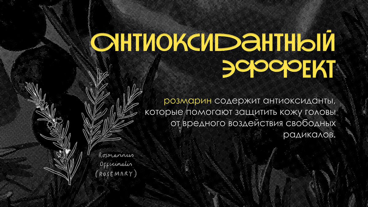 PRESENTATION DESIGN | Дизайн презентации. Розмарин. — Изображение №7 — Брендинг, Маркетинг на Dprofile