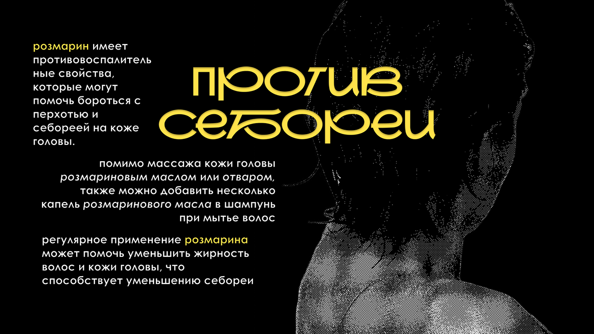 PRESENTATION DESIGN | Дизайн презентации. Розмарин. — Изображение №5 — Брендинг, Маркетинг на Dprofile