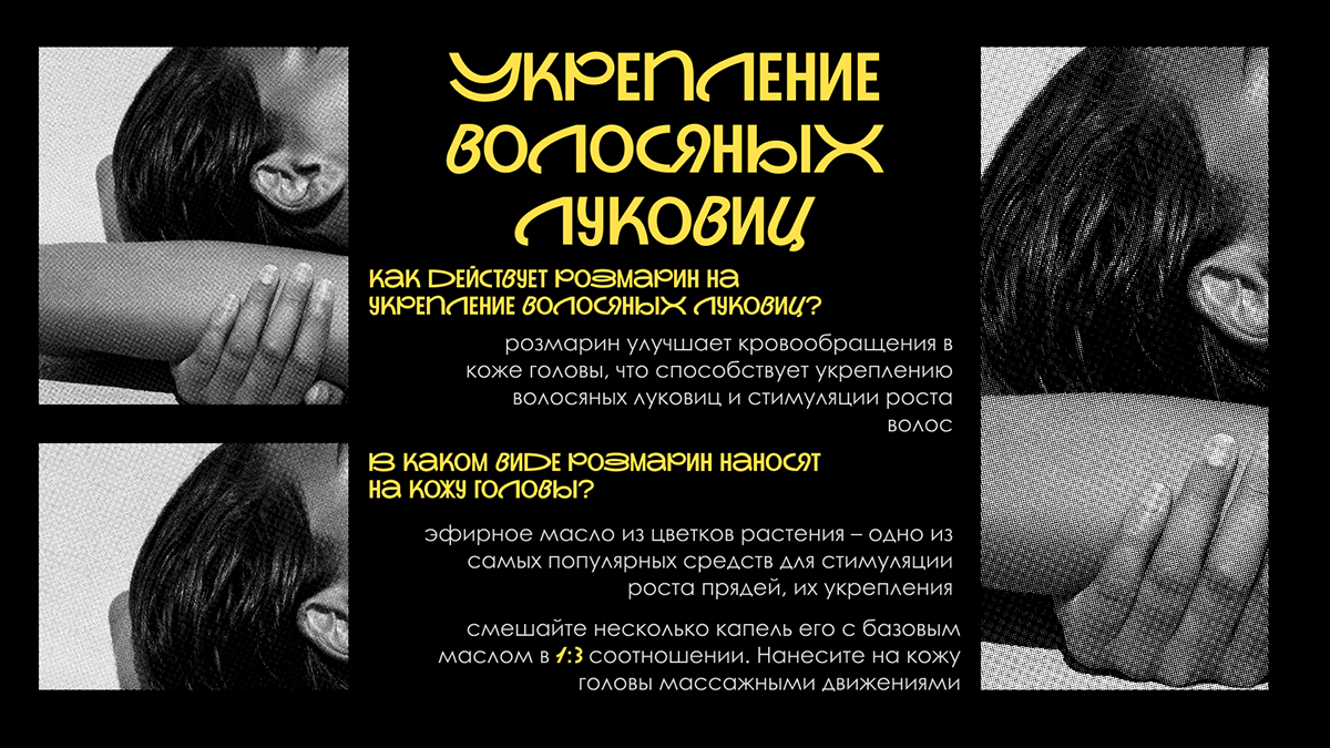 PRESENTATION DESIGN | Дизайн презентации. Розмарин. — Изображение №4 — Брендинг, Маркетинг на Dprofile
