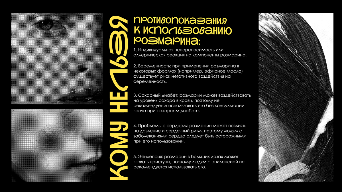 PRESENTATION DESIGN | Дизайн презентации. Розмарин. — Изображение №6 — Брендинг, Маркетинг на Dprofile