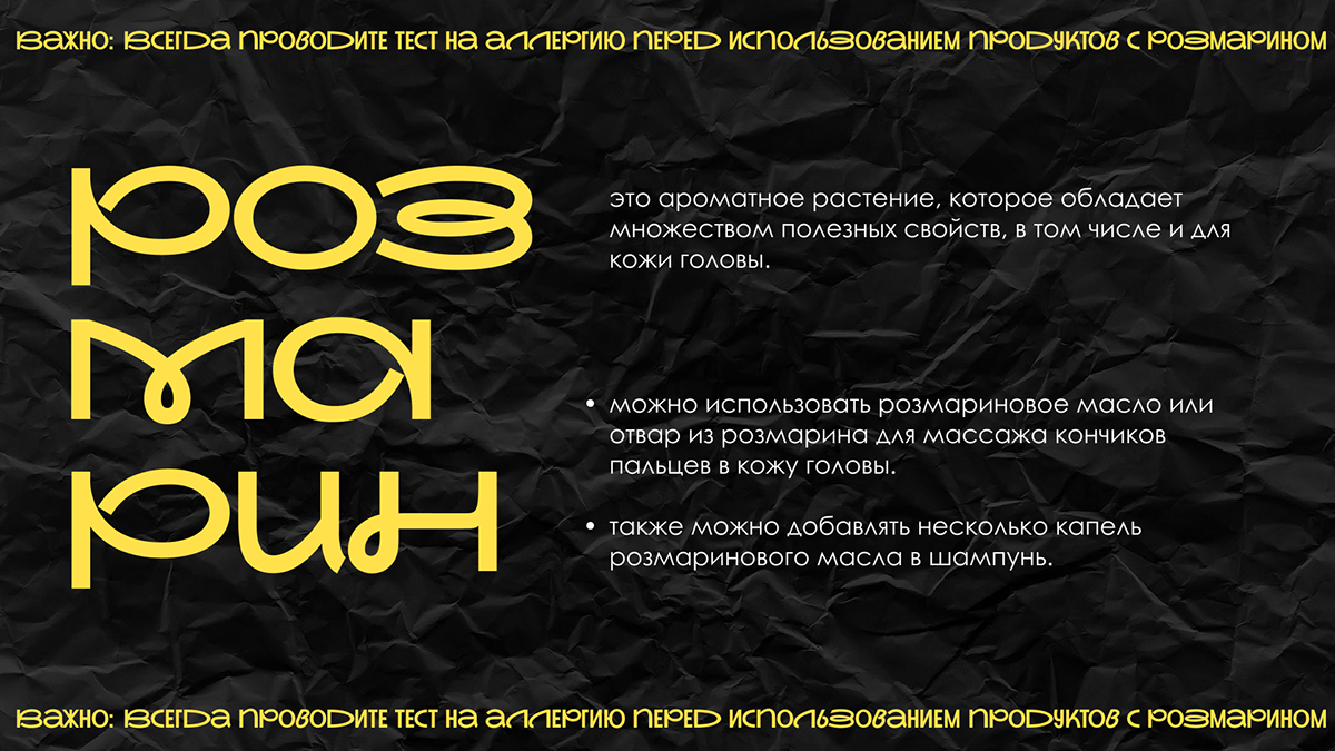 PRESENTATION DESIGN | Дизайн презентации. Розмарин. — Изображение №2 — Брендинг, Маркетинг на Dprofile