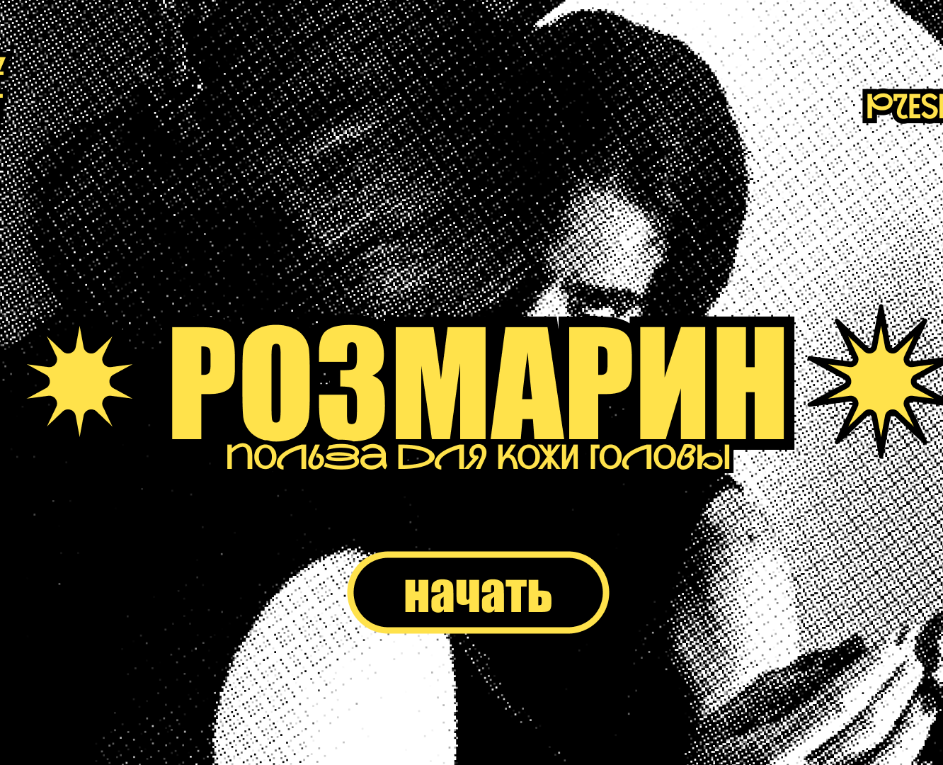 PRESENTATION DESIGN | Дизайн презентации. Розмарин. — Брендинг, Маркетинг на Dprofile