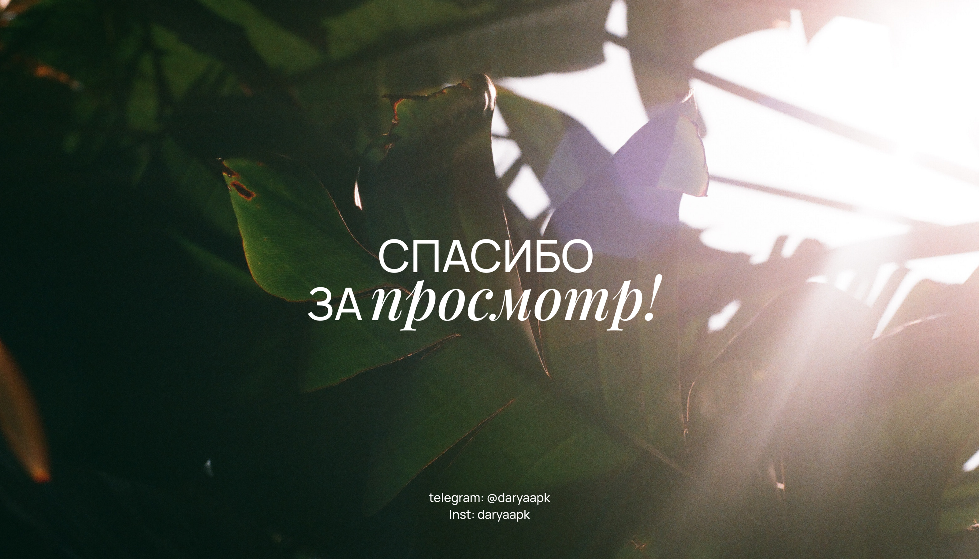 Лендинг для йога-тура — Изображение №9 — Интерфейсы на Dprofile