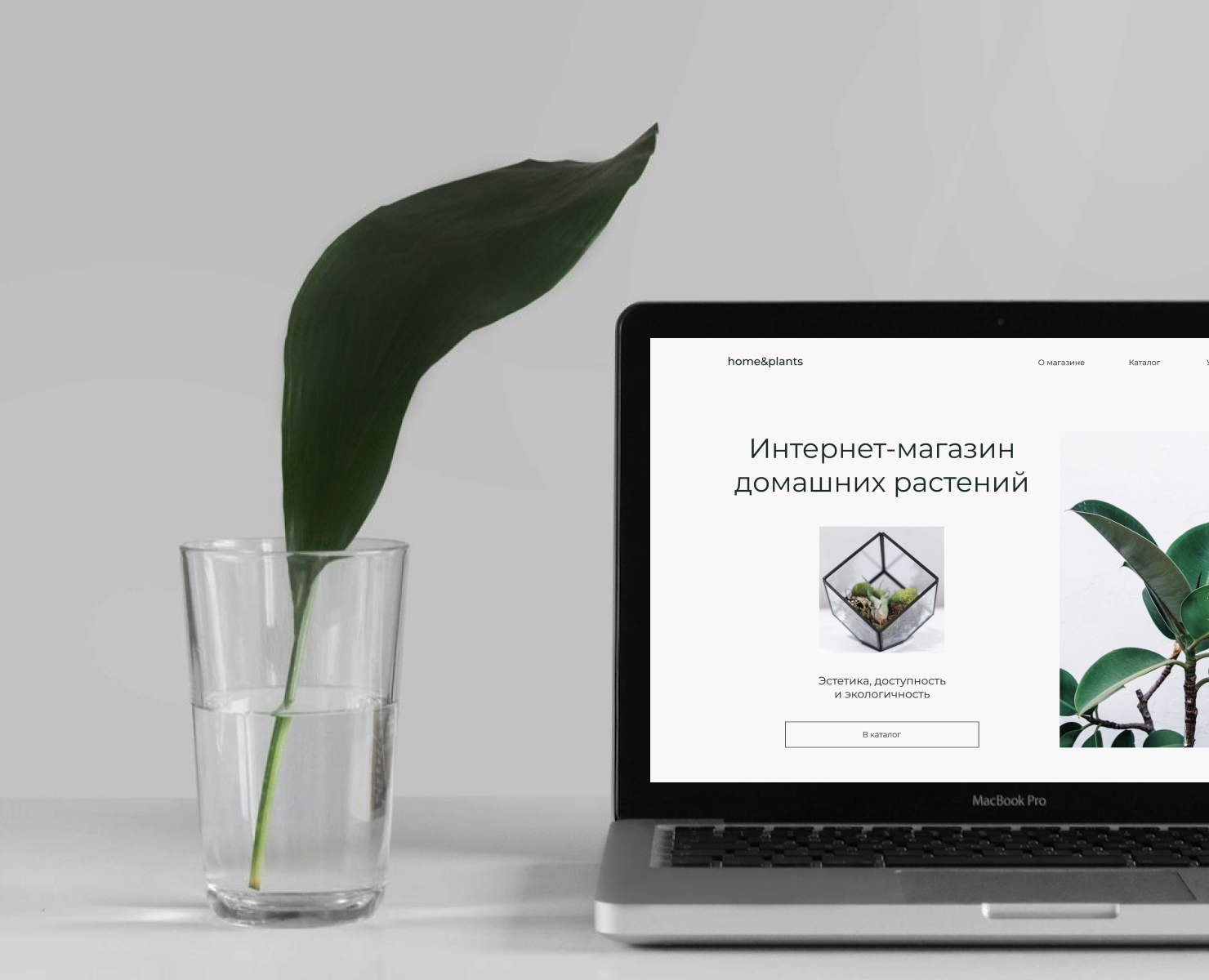 Интернет-магазин домашних растений — Интерфейсы на Dprofile