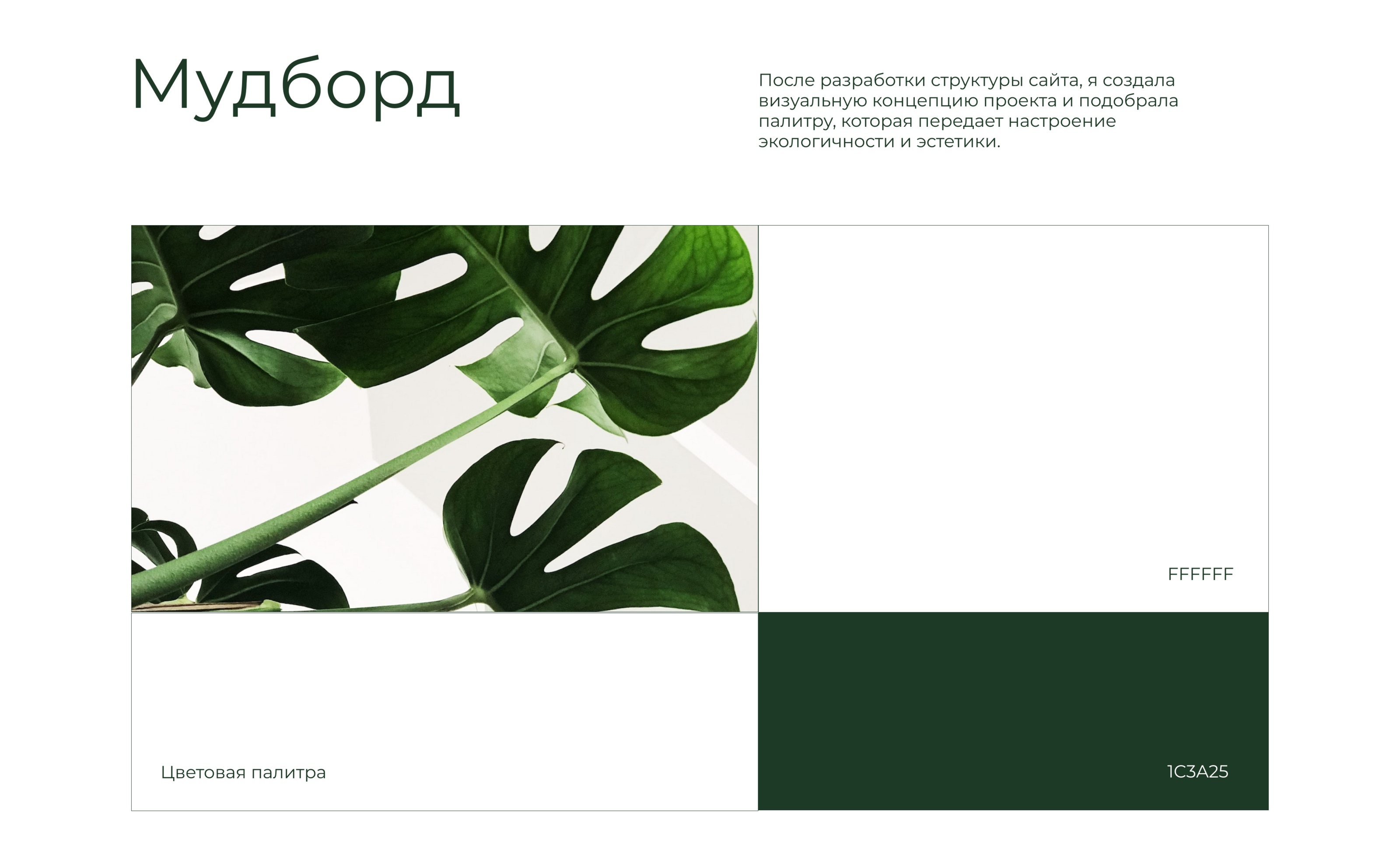 Интернет-магазин домашних растений — Изображение №4 — Интерфейсы на Dprofile