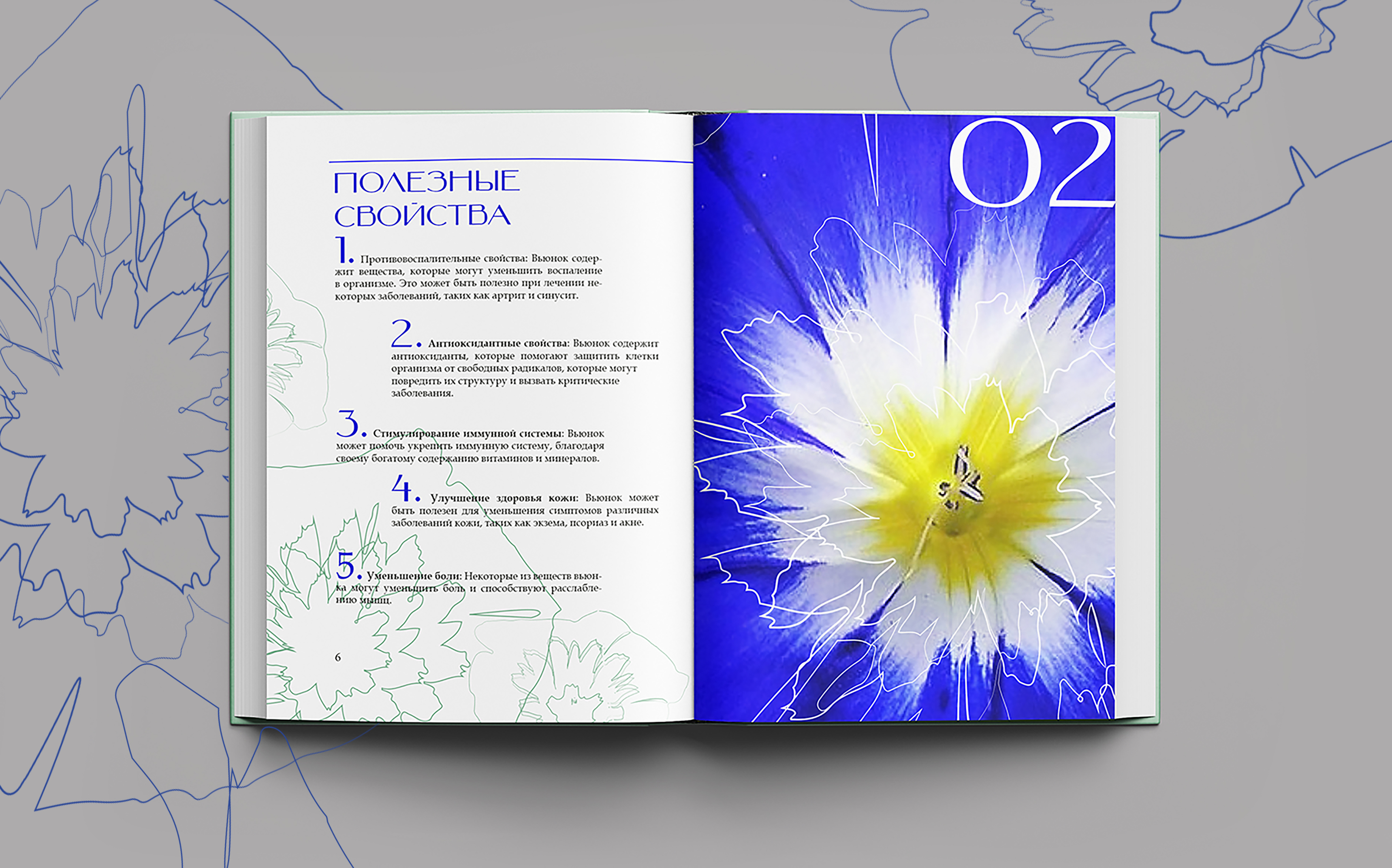 ОФОРМЛЕНИЕ КНИГИ/ИЛЛЮСТРАЦИ/ВЕРСТКА/ВЬЮНОК — Изображение №8 — Интерфейсы, Брендинг на Dprofile