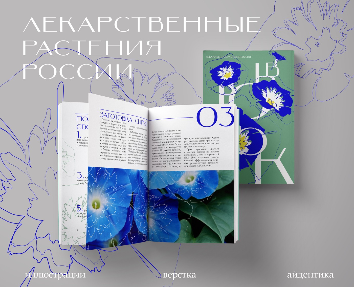 ОФОРМЛЕНИЕ КНИГИ/ИЛЛЮСТРАЦИ/ВЕРСТКА/ВЬЮНОК — Интерфейсы, Брендинг на Dprofile