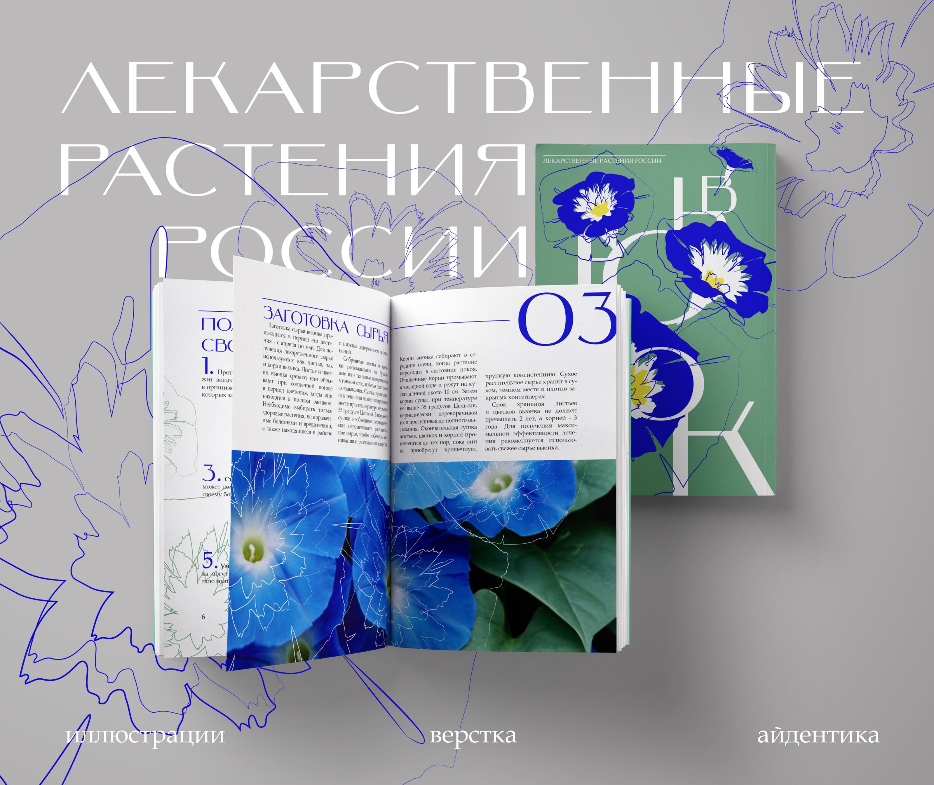 ОФОРМЛЕНИЕ КНИГИ/ИЛЛЮСТРАЦИ/ВЕРСТКА/ВЬЮНОК — Изображение №1 — Интерфейсы, Брендинг на Dprofile