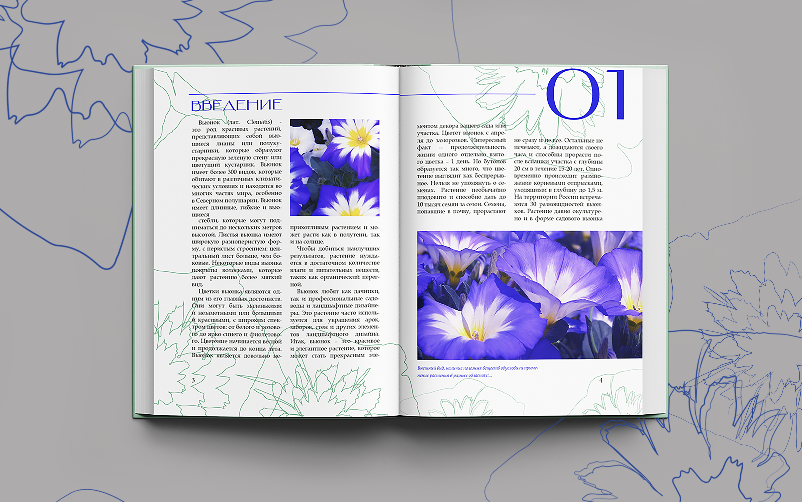 ОФОРМЛЕНИЕ КНИГИ/ИЛЛЮСТРАЦИ/ВЕРСТКА/ВЬЮНОК — Изображение №7 — Интерфейсы, Брендинг на Dprofile