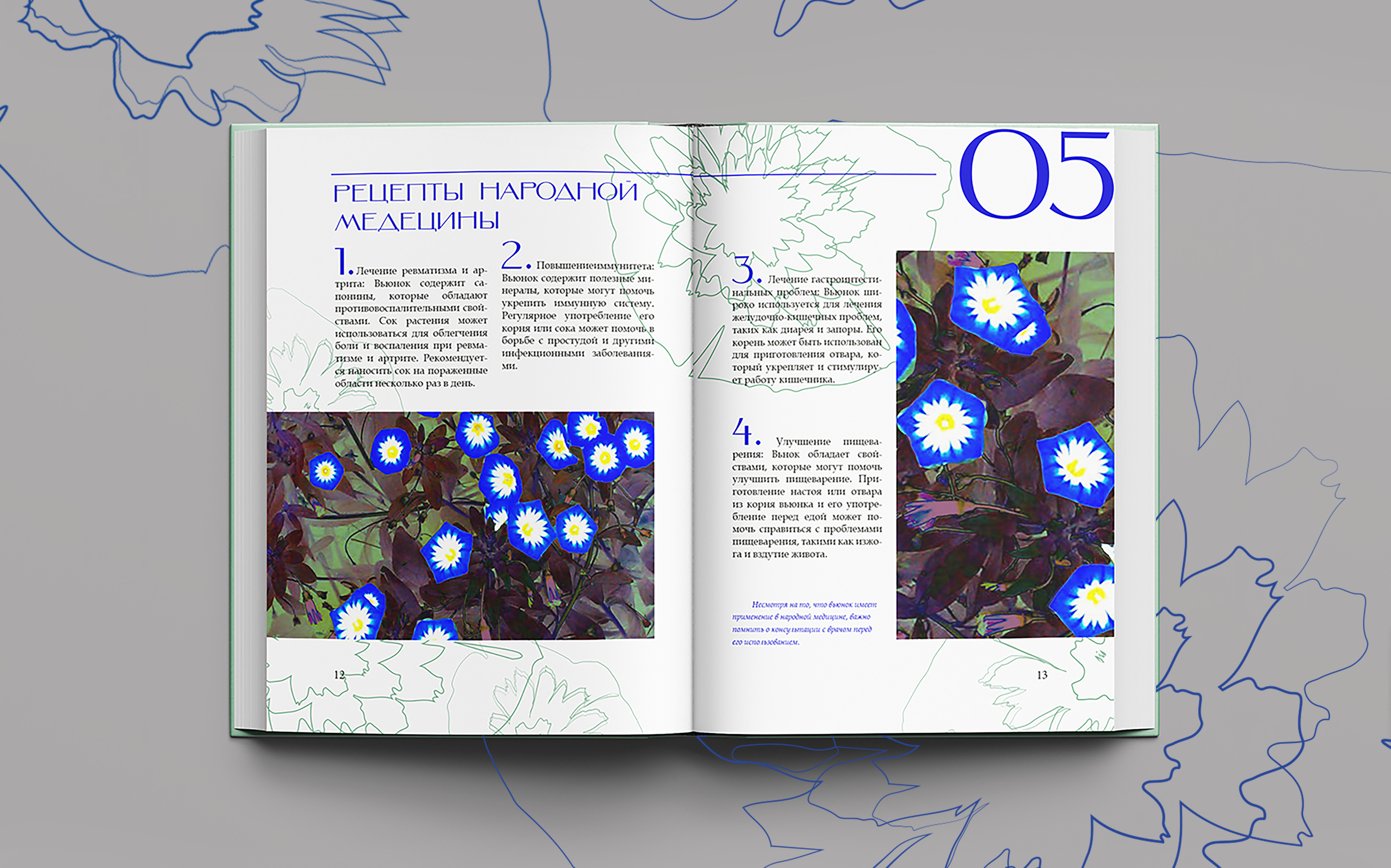 ОФОРМЛЕНИЕ КНИГИ/ИЛЛЮСТРАЦИ/ВЕРСТКА/ВЬЮНОК — Изображение №11 — Интерфейсы, Брендинг на Dprofile