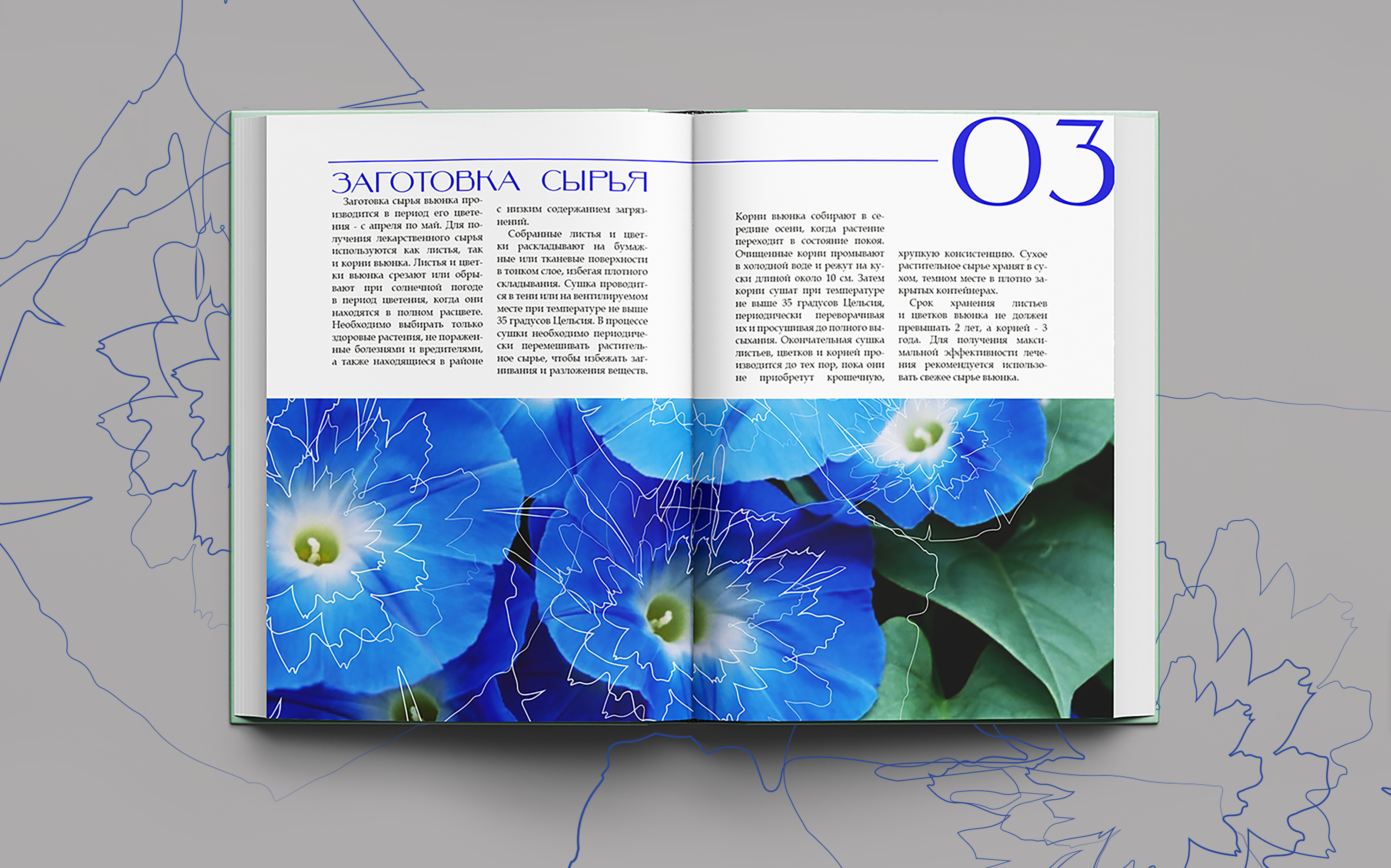 ОФОРМЛЕНИЕ КНИГИ/ИЛЛЮСТРАЦИ/ВЕРСТКА/ВЬЮНОК — Изображение №9 — Интерфейсы, Брендинг на Dprofile
