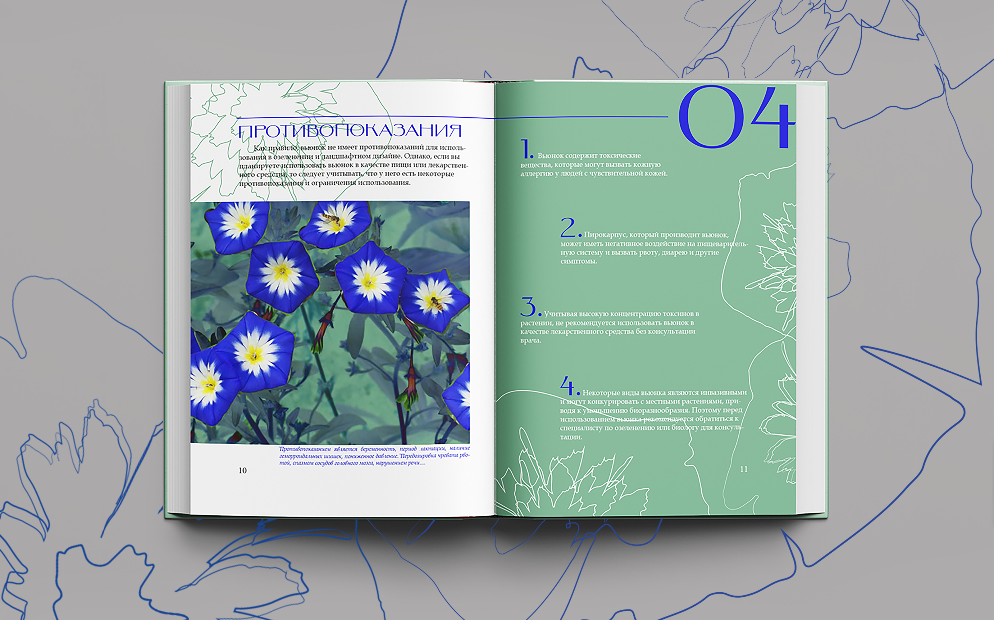 ОФОРМЛЕНИЕ КНИГИ/ИЛЛЮСТРАЦИ/ВЕРСТКА/ВЬЮНОК — Изображение №10 — Интерфейсы, Брендинг на Dprofile