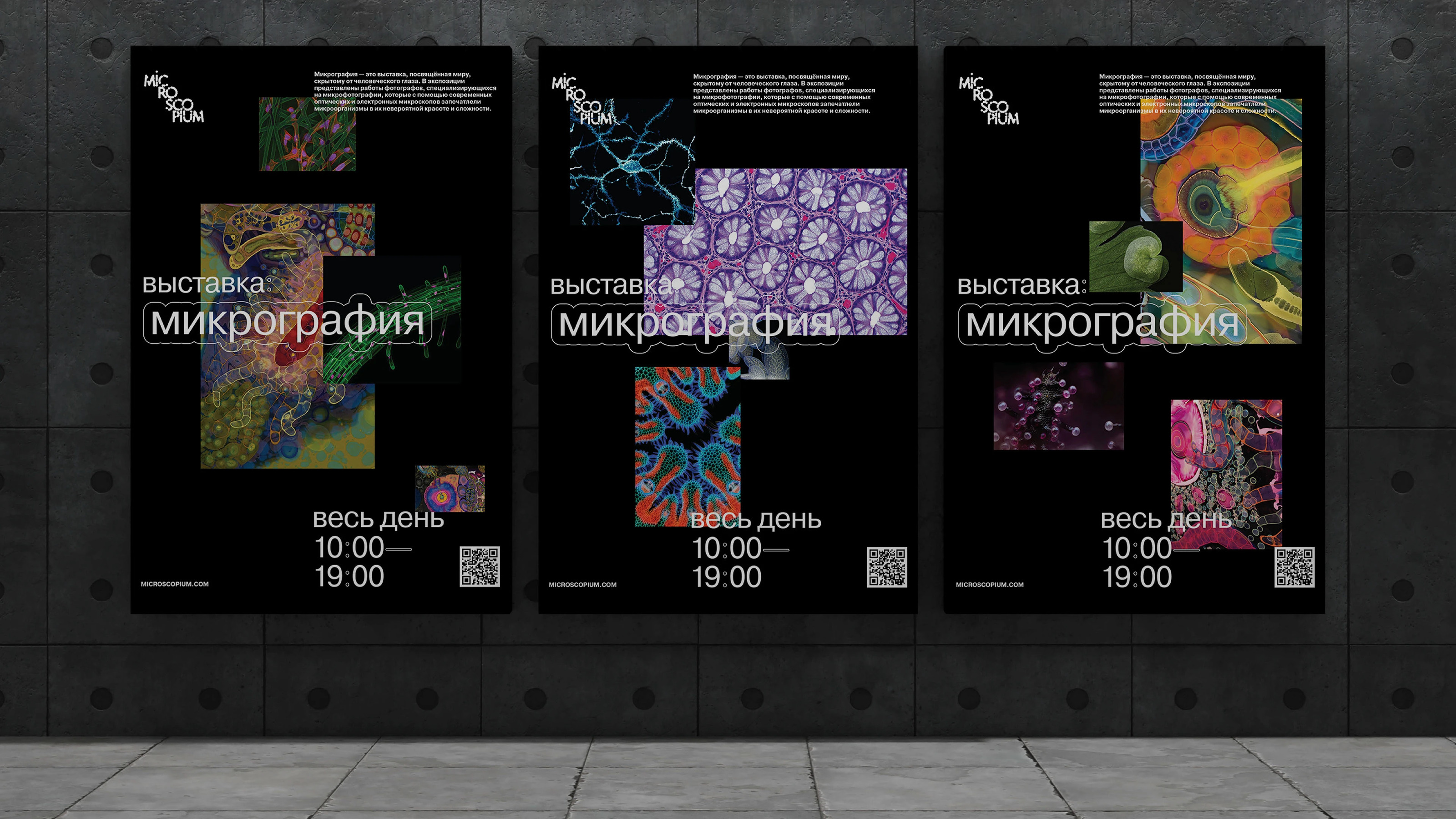 microscopium identity// айдентика музея микроорганизмов — Изображение №14 — Брендинг на Dprofile