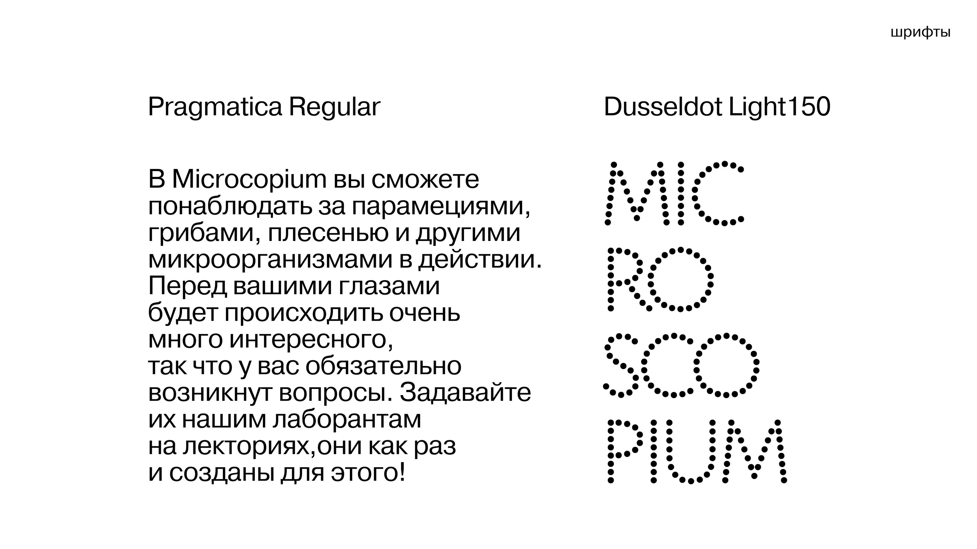 microscopium identity// айдентика музея микроорганизмов — Изображение №10 — Брендинг на Dprofile