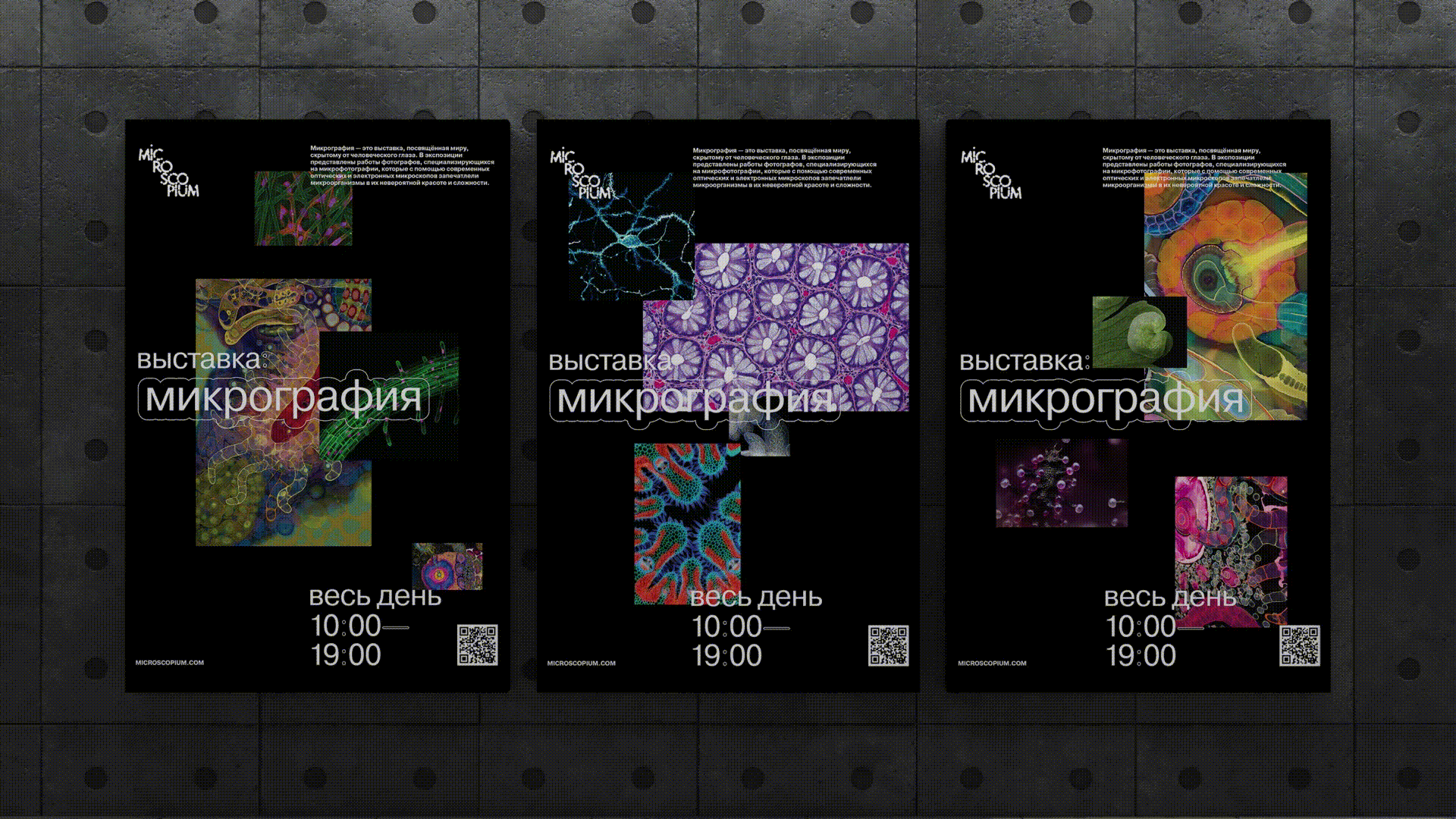 microscopium identity// айдентика музея микроорганизмов — Изображение №18 — Брендинг на Dprofile
