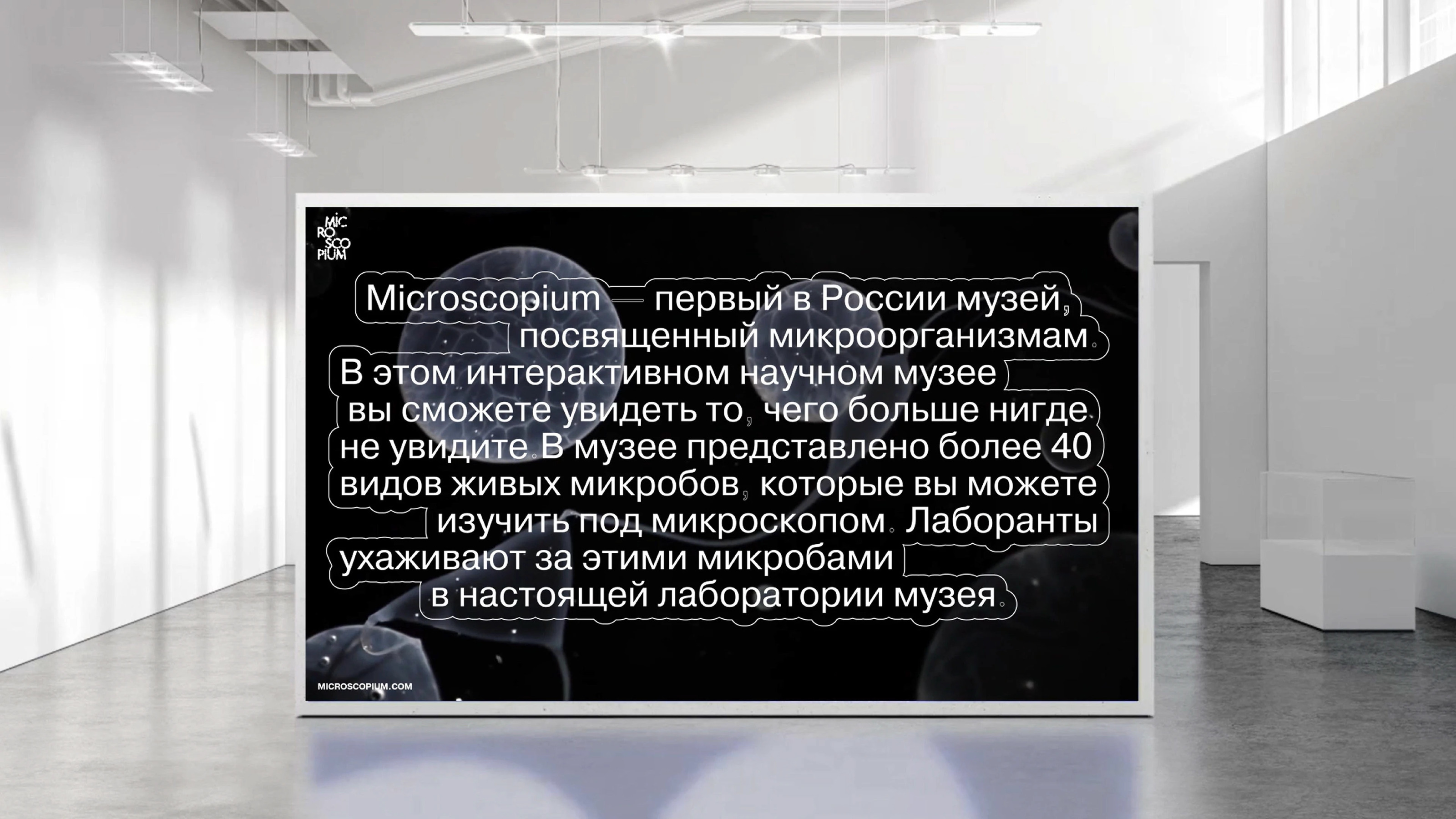 microscopium identity// айдентика музея микроорганизмов — Изображение №2 — Брендинг на Dprofile