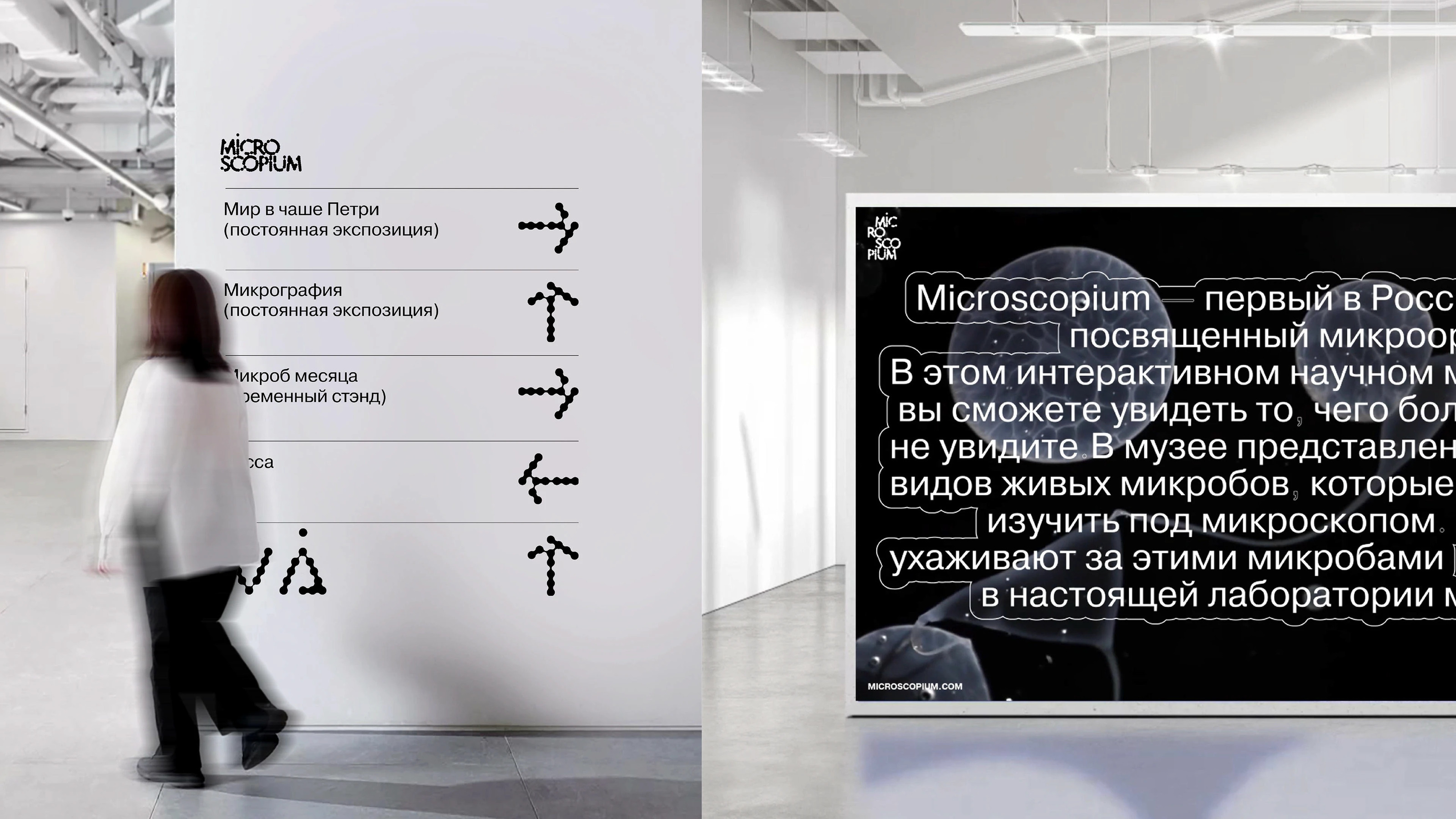 microscopium identity// айдентика музея микроорганизмов — Изображение №25 — Брендинг на Dprofile