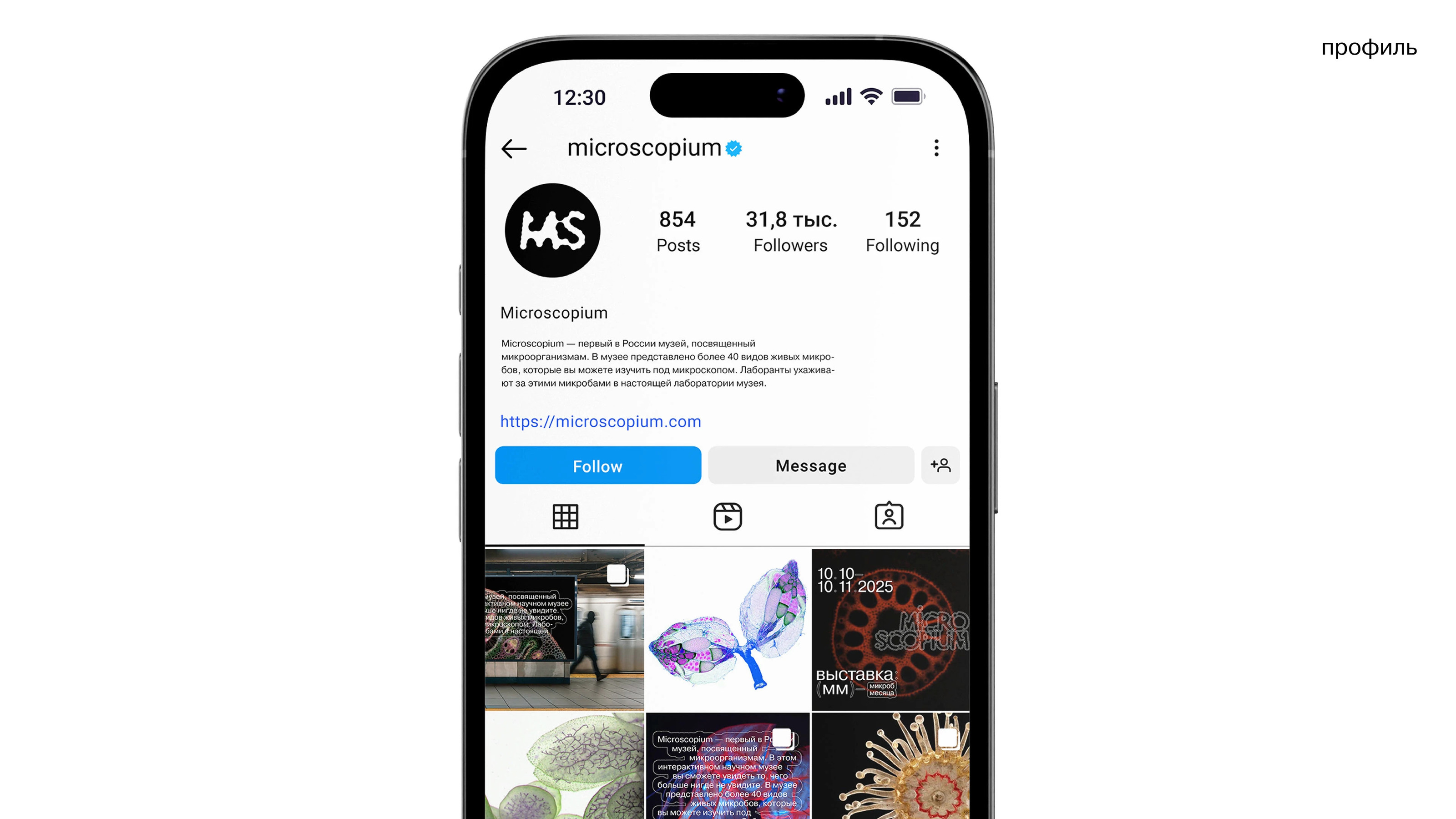 microscopium identity// айдентика музея микроорганизмов — Изображение №35 — Брендинг на Dprofile