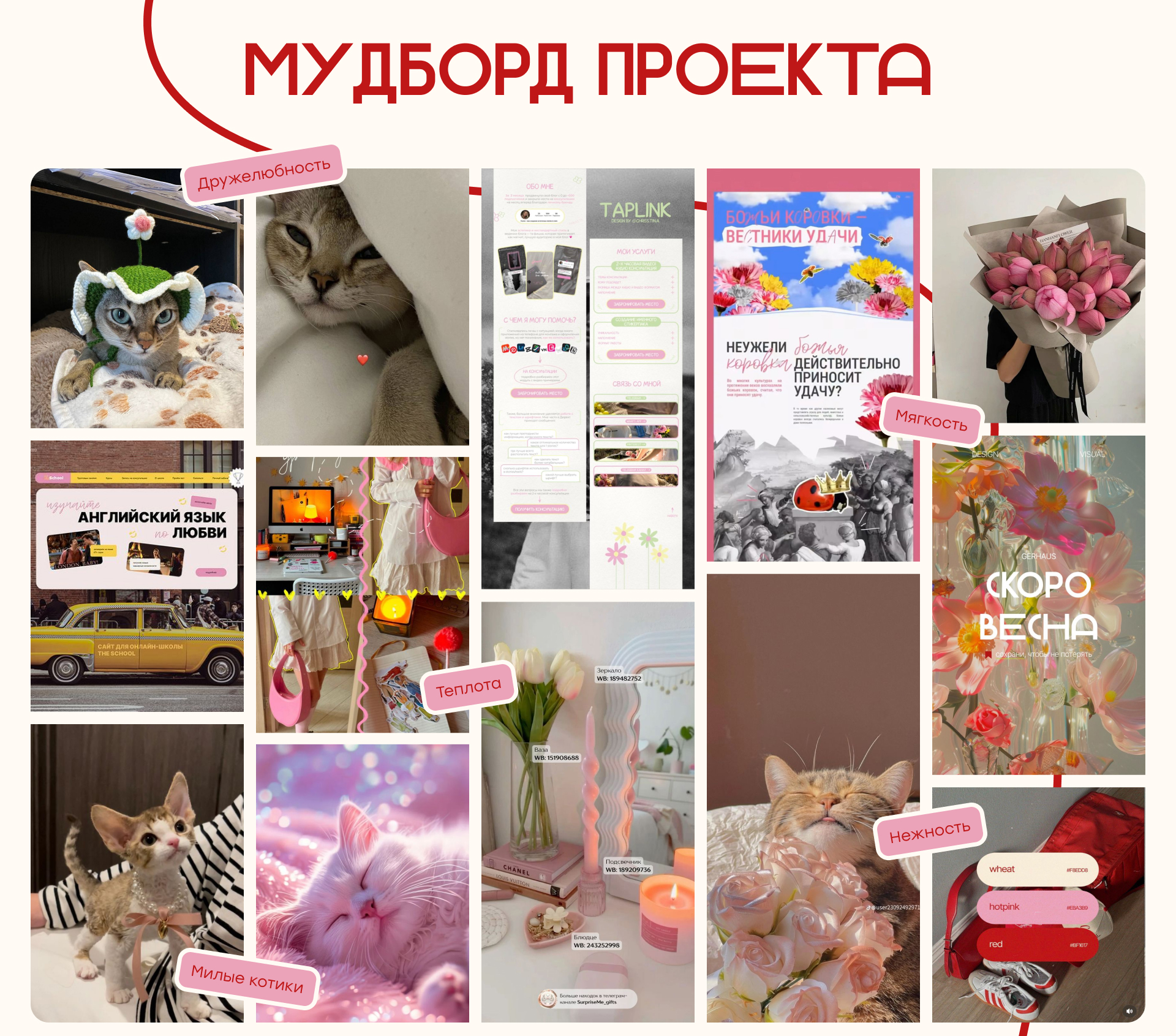 Сайт питомника — Изображение №3 — Интерфейсы, Брендинг на Dprofile