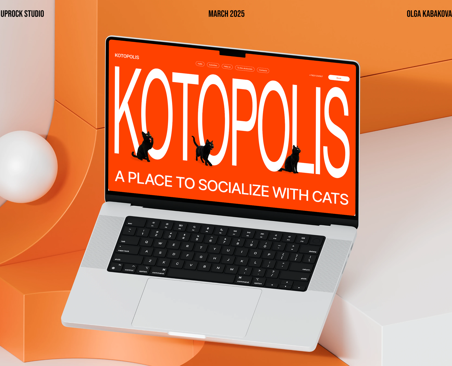 Котокафе Котополис | Дизайн корпоративного сайта на Dprofile