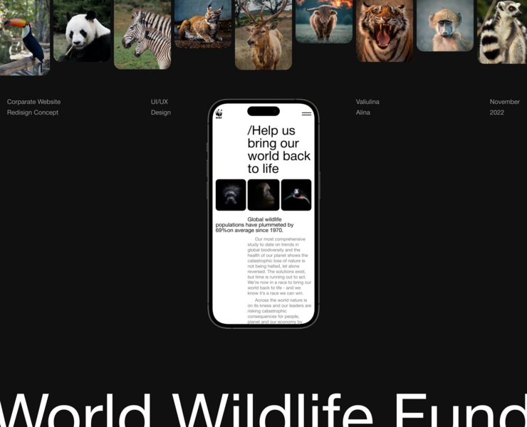 World Wildlife Fund | Corporate website redesign на Dprofile