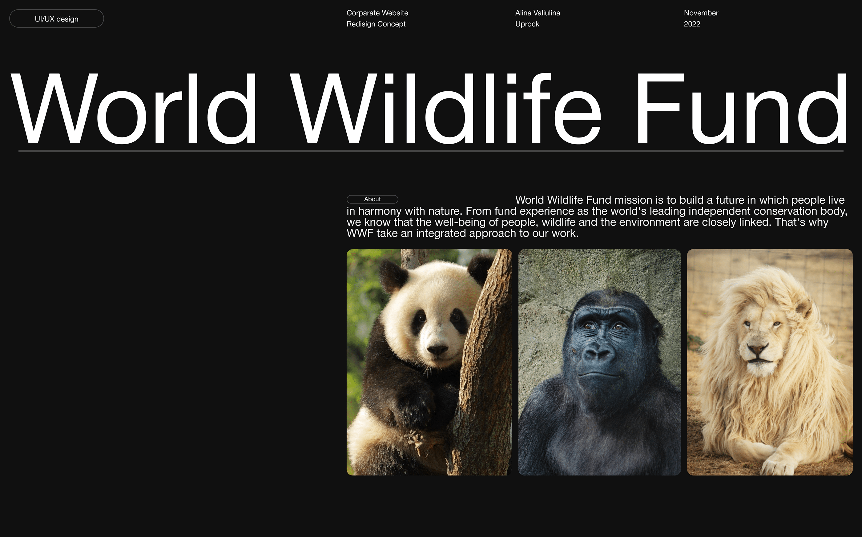 World Wildlife Fund | Corporate website redesign — Изображение №1 — Интерфейсы на Dprofile
