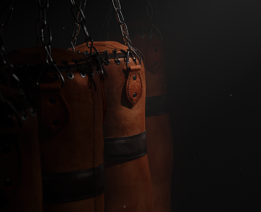 Boxing — 3D, Анимация на Dprofile