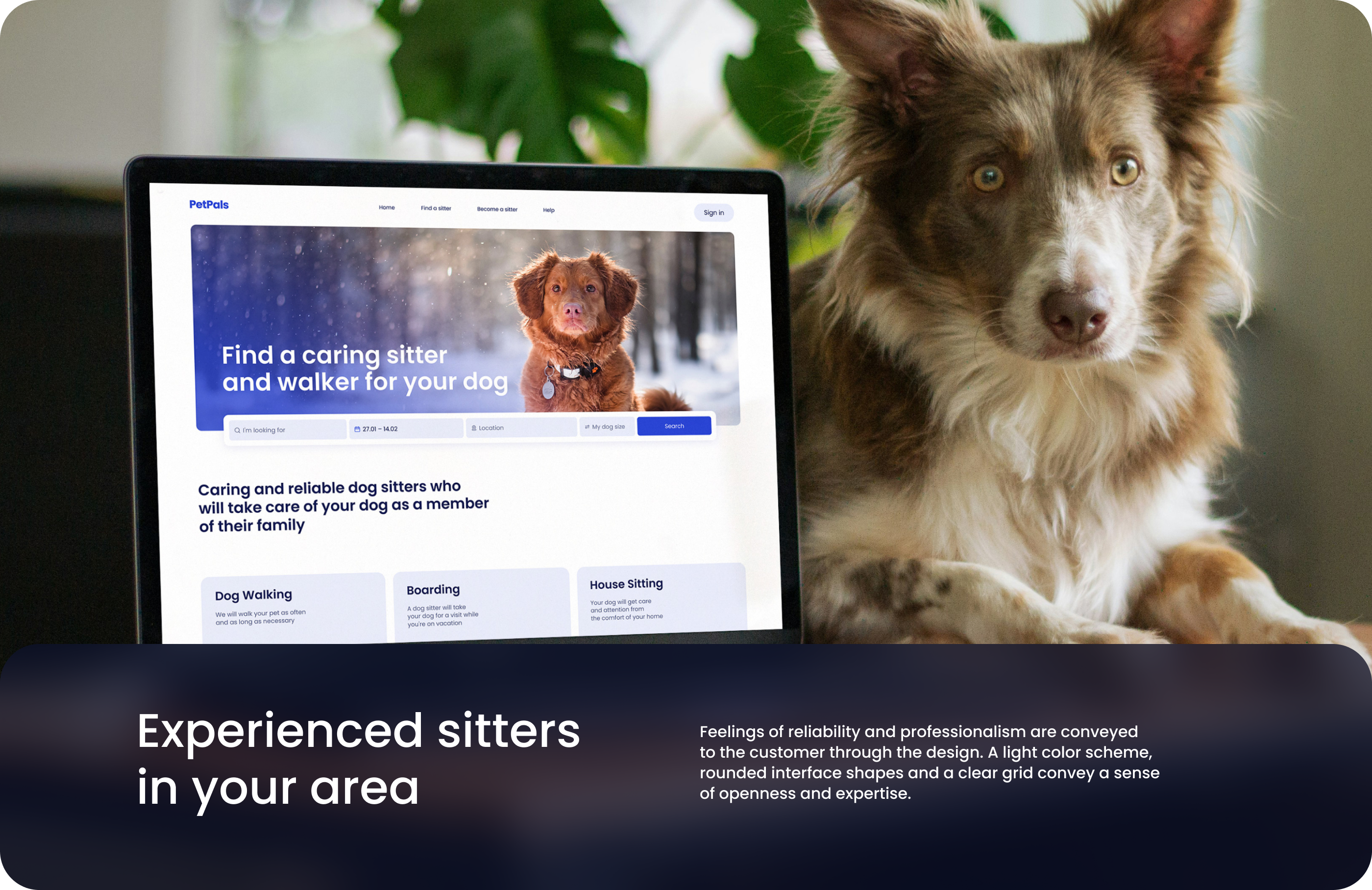 PetPals: Website Concept — Изображение №5 — Интерфейсы на Dprofile