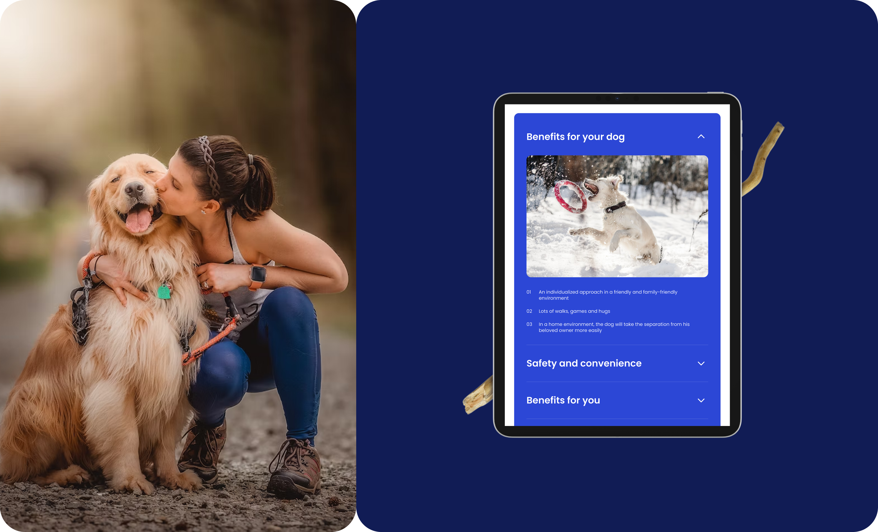 PetPals: Website Concept — Изображение №9 — Интерфейсы на Dprofile