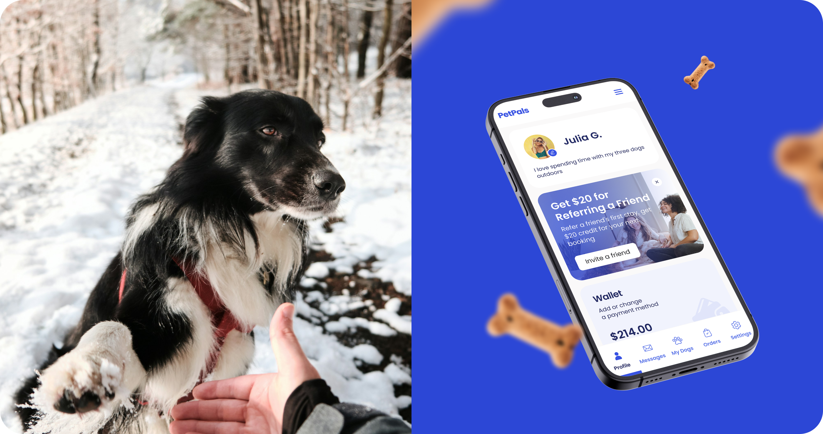 PetPals: Website Concept — Изображение №3 — Интерфейсы на Dprofile