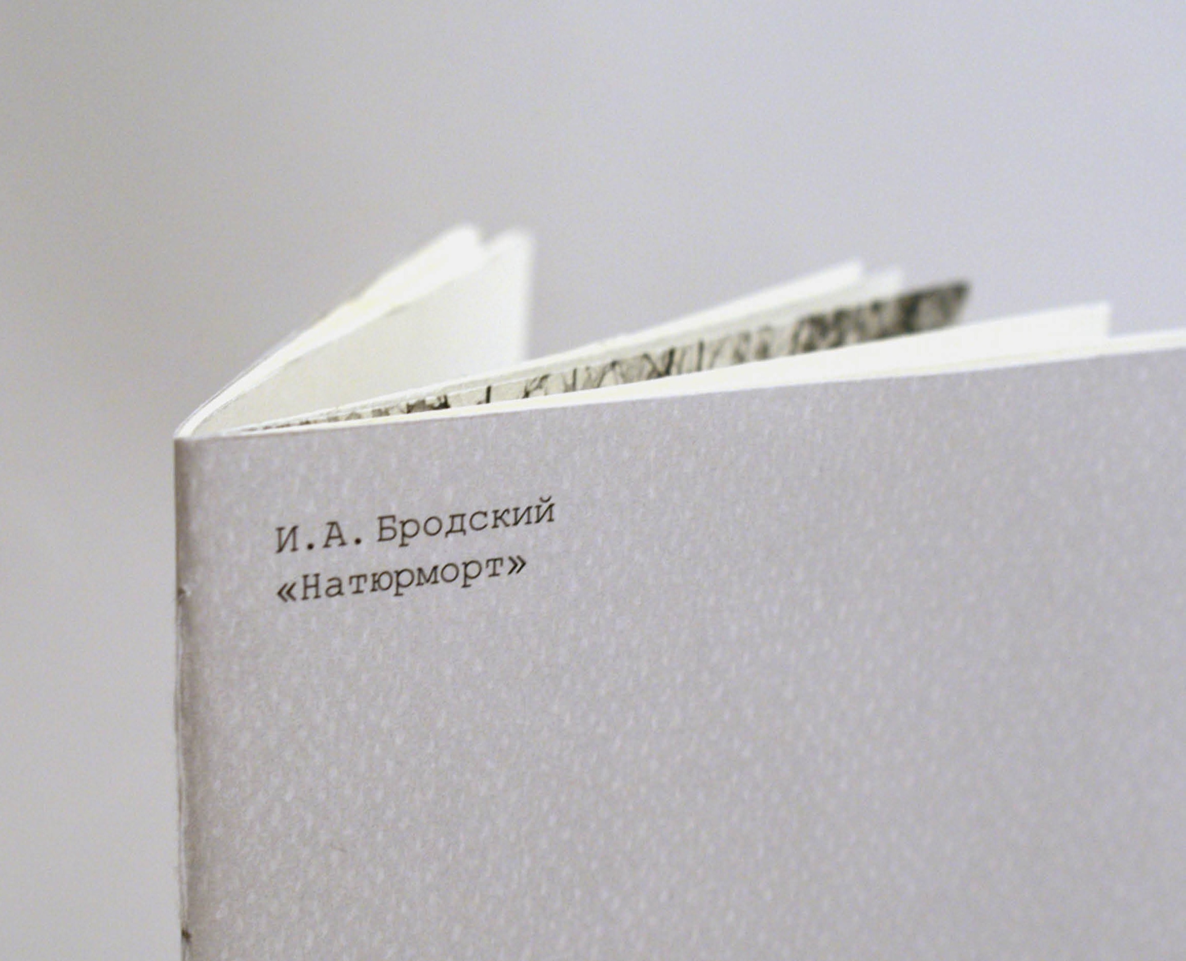 Фотозин «Натюрморт» на Dprofile