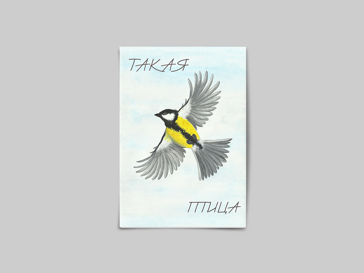 "ТАКАЯ ПТИЦА". Книга-картинка о синицах. — Изображение №1 — Иллюстрация, Графика на Dprofile
