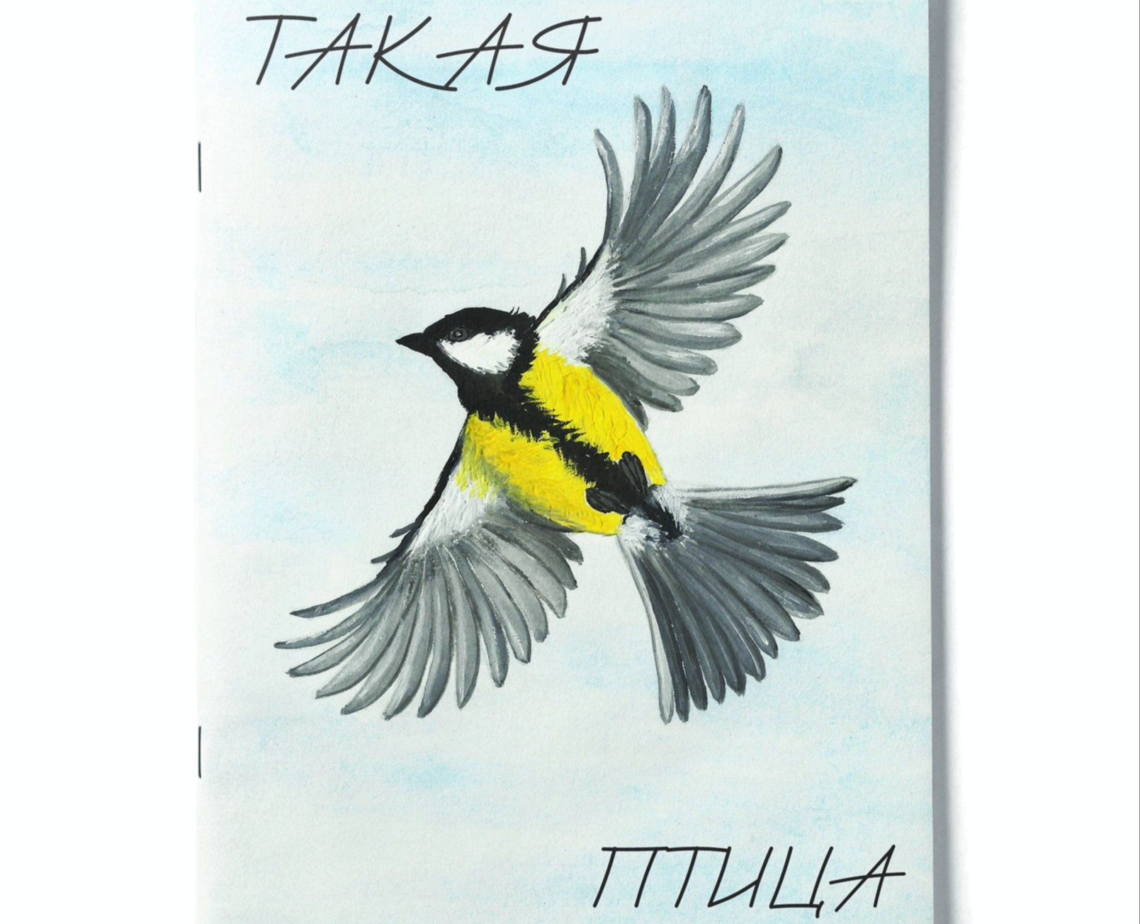 "ТАКАЯ ПТИЦА". Книга-картинка о синицах. — Иллюстрация, Графика на Dprofile