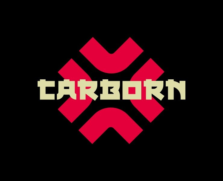 CARBORN / АЙДЕНТИКА — Брендинг на Dprofile