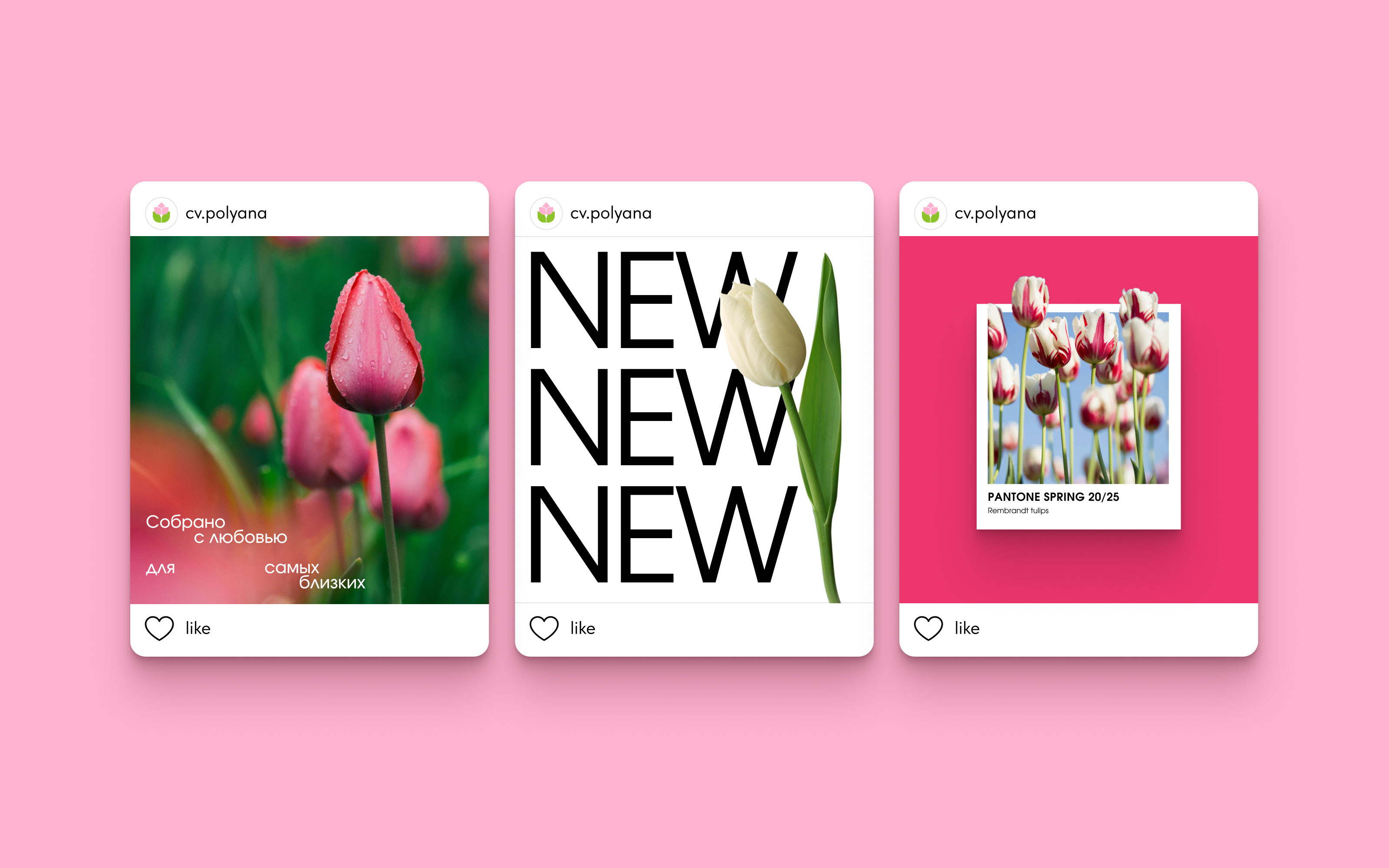 Цветочная поляна — Изображение №6 — Брендинг на Dprofile