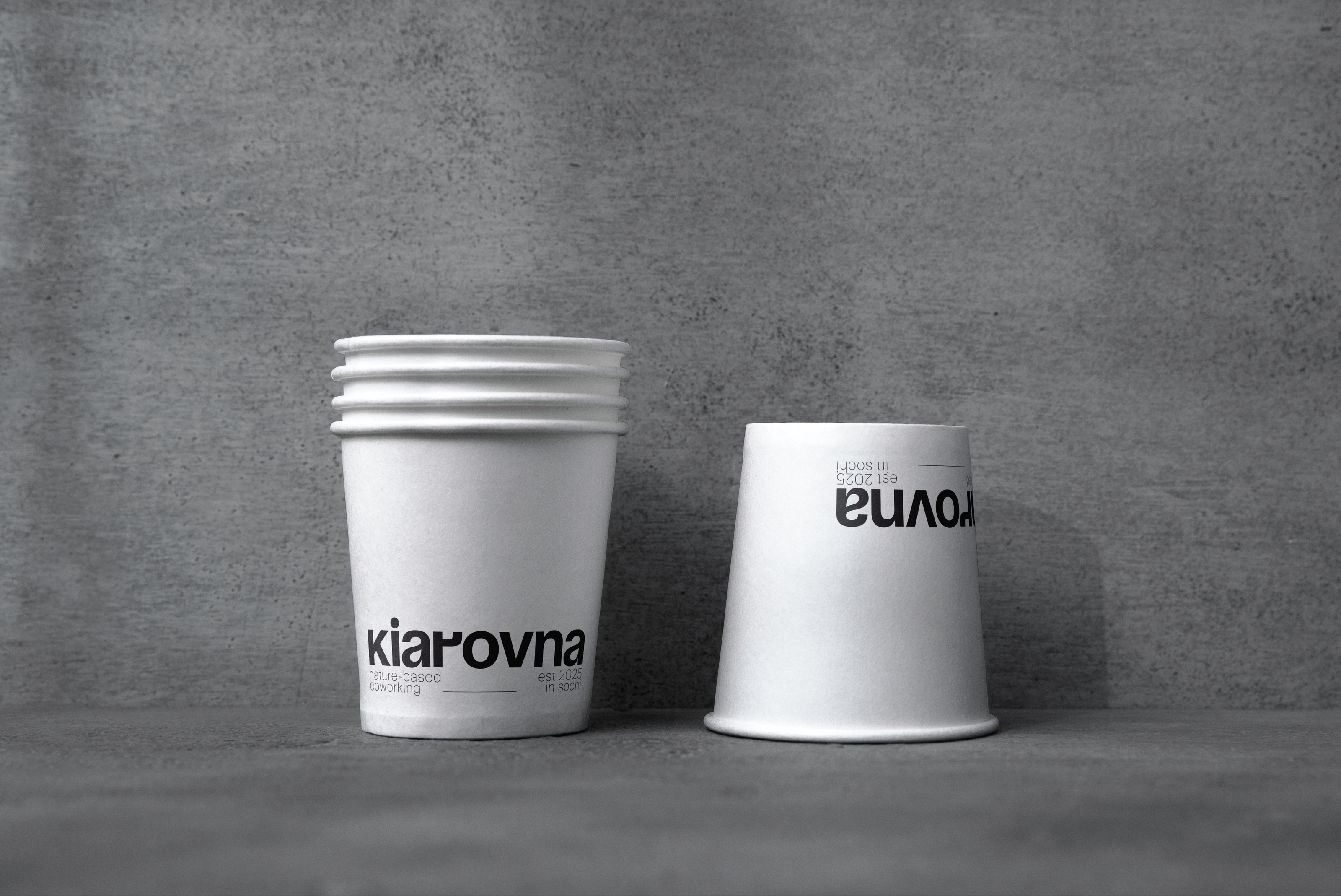 kiarovna nature-based coworking branding — Изображение №5 — Брендинг, Графика на Dprofile